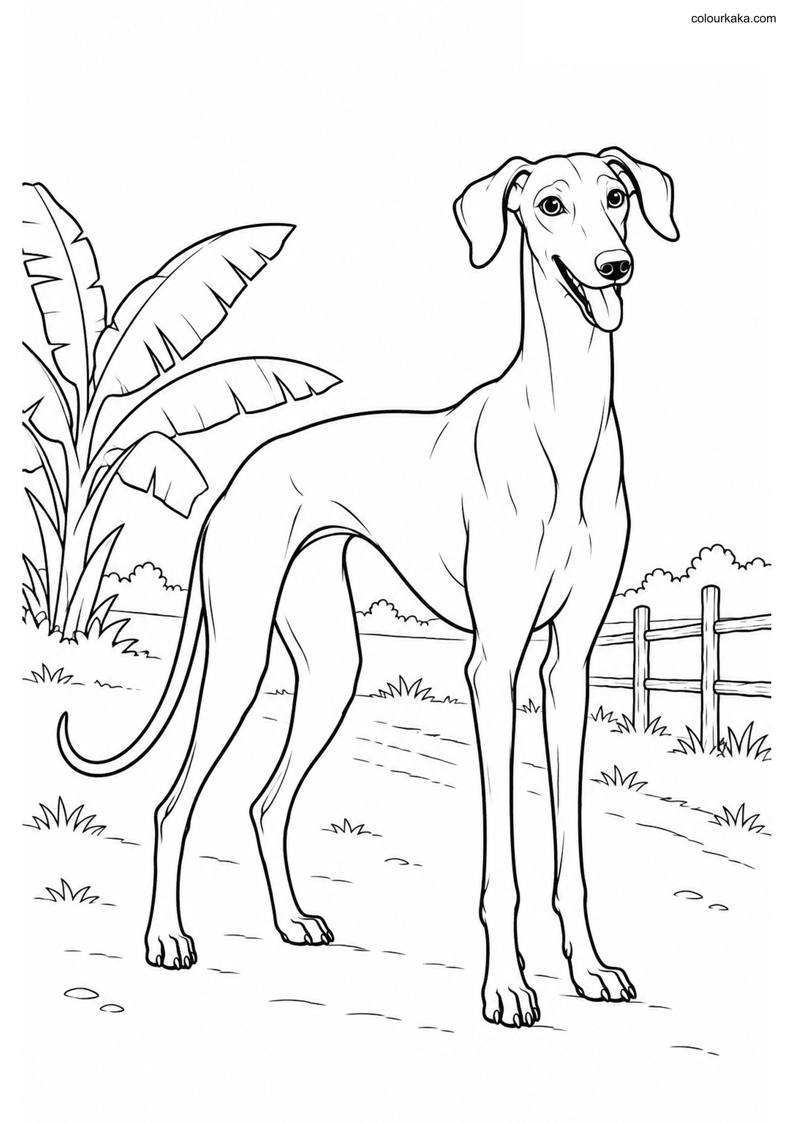 Chippiparai Path Coloring colouring page preview