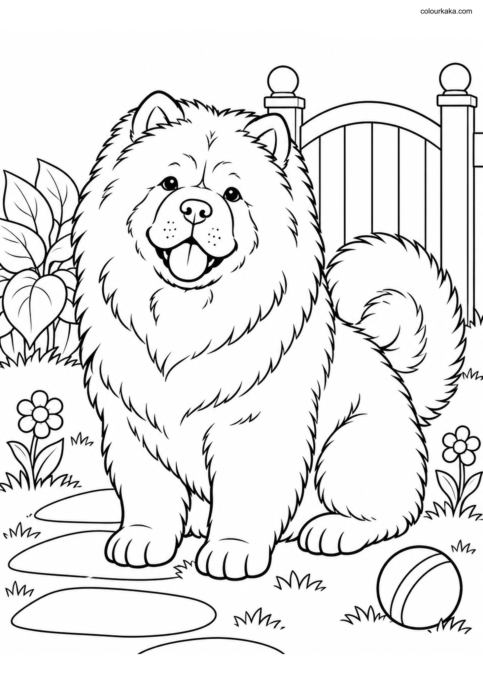 Chow Chow Puppy Colouring colouring page preview