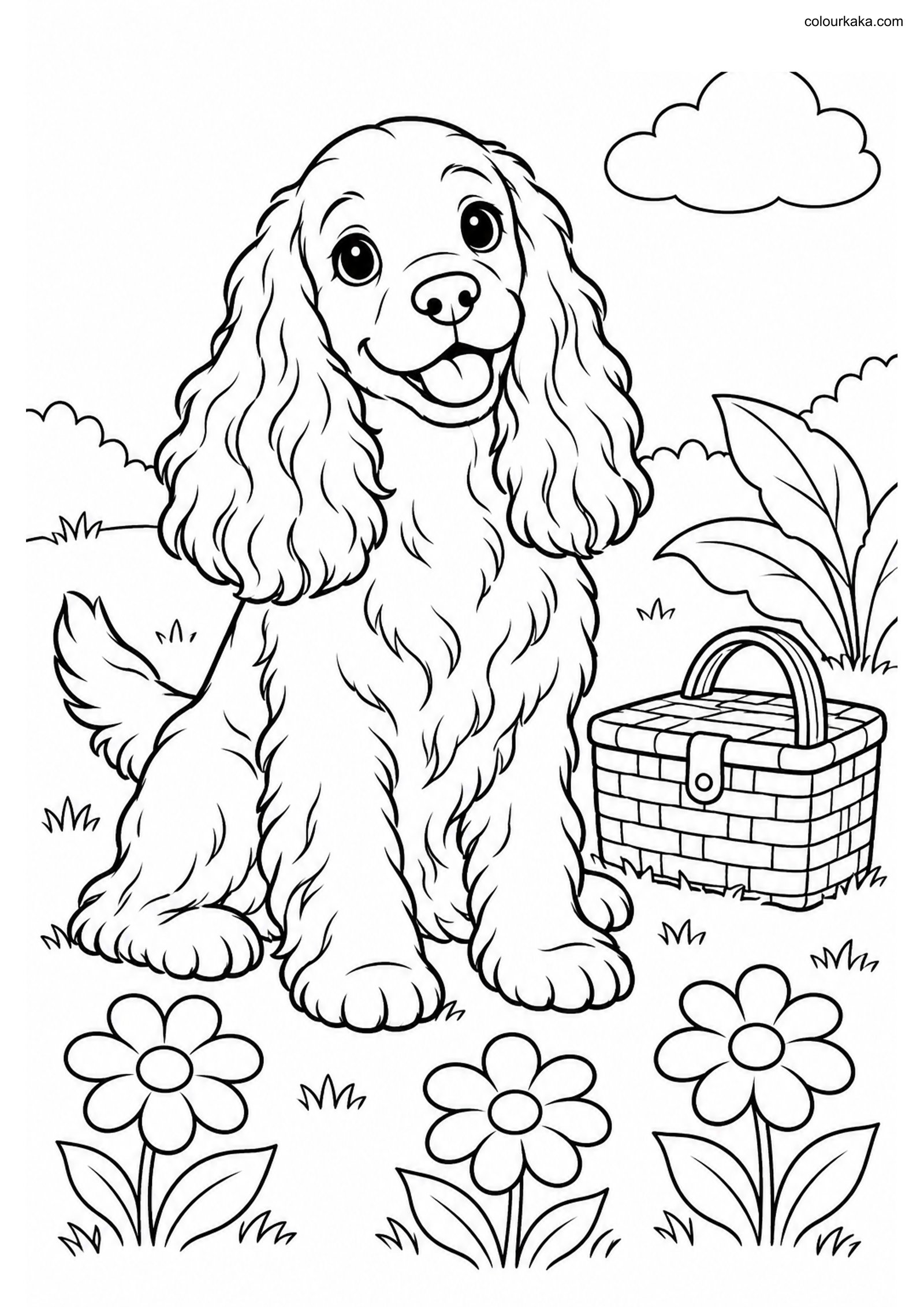 Cocker Spaniel Colouring Page colouring page preview