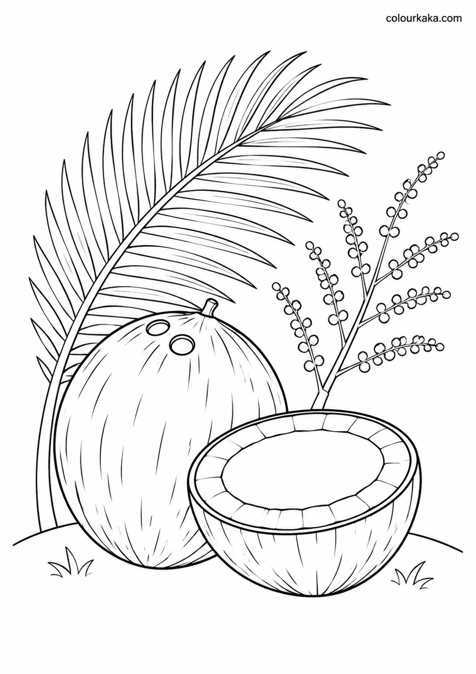Coconut Island Colouring Page colouring page preview