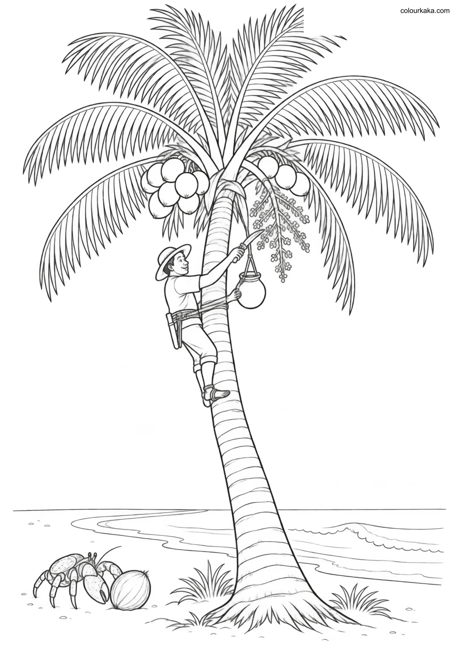 Coconut Palm Beach Colouring colouring page preview