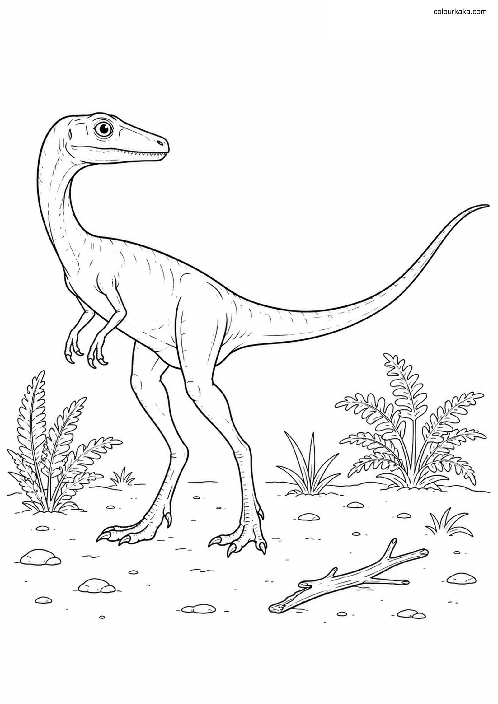 Compsognathus Colouring Page colouring page preview