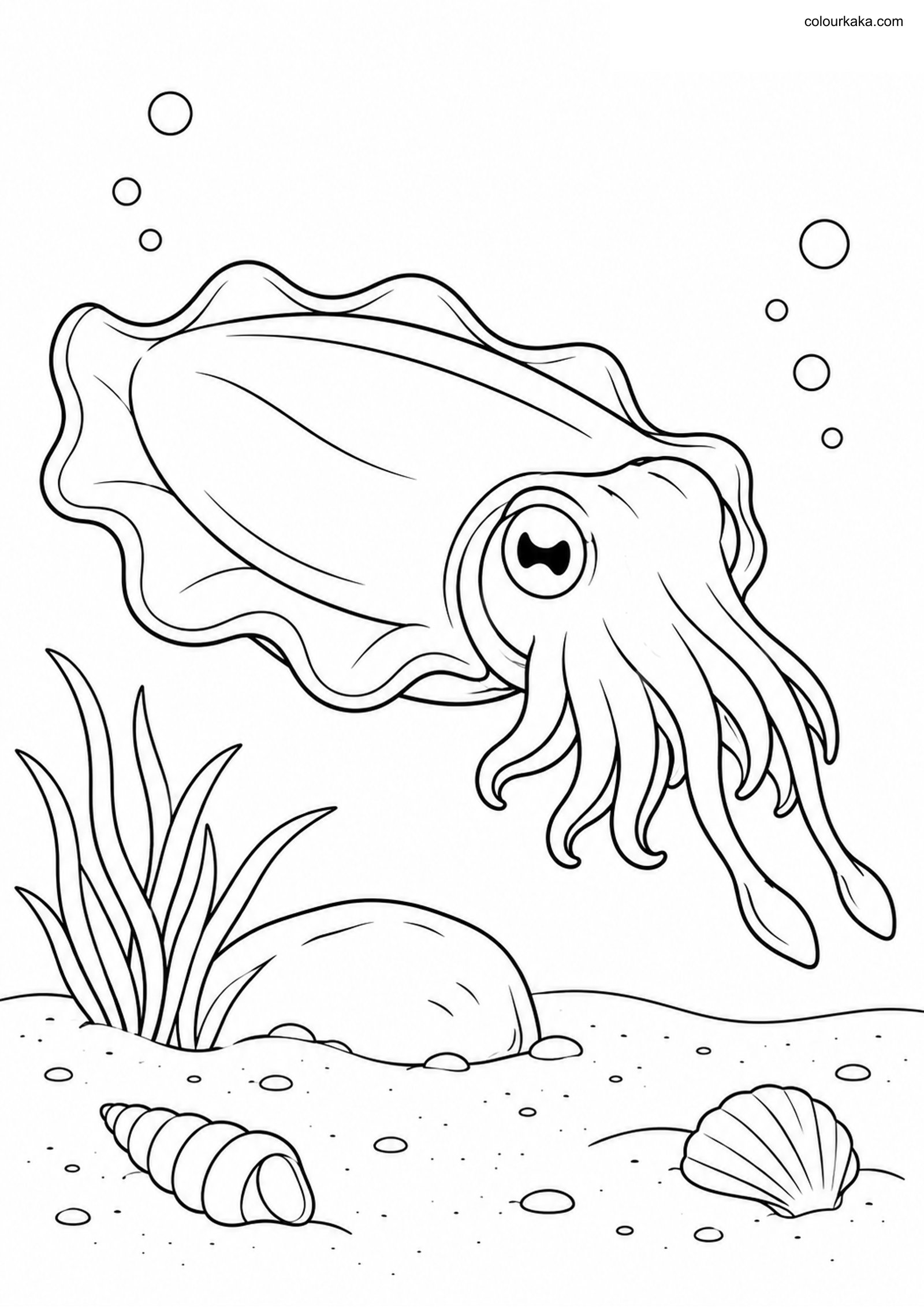 Cuttlefish Colouring Page colouring page preview
