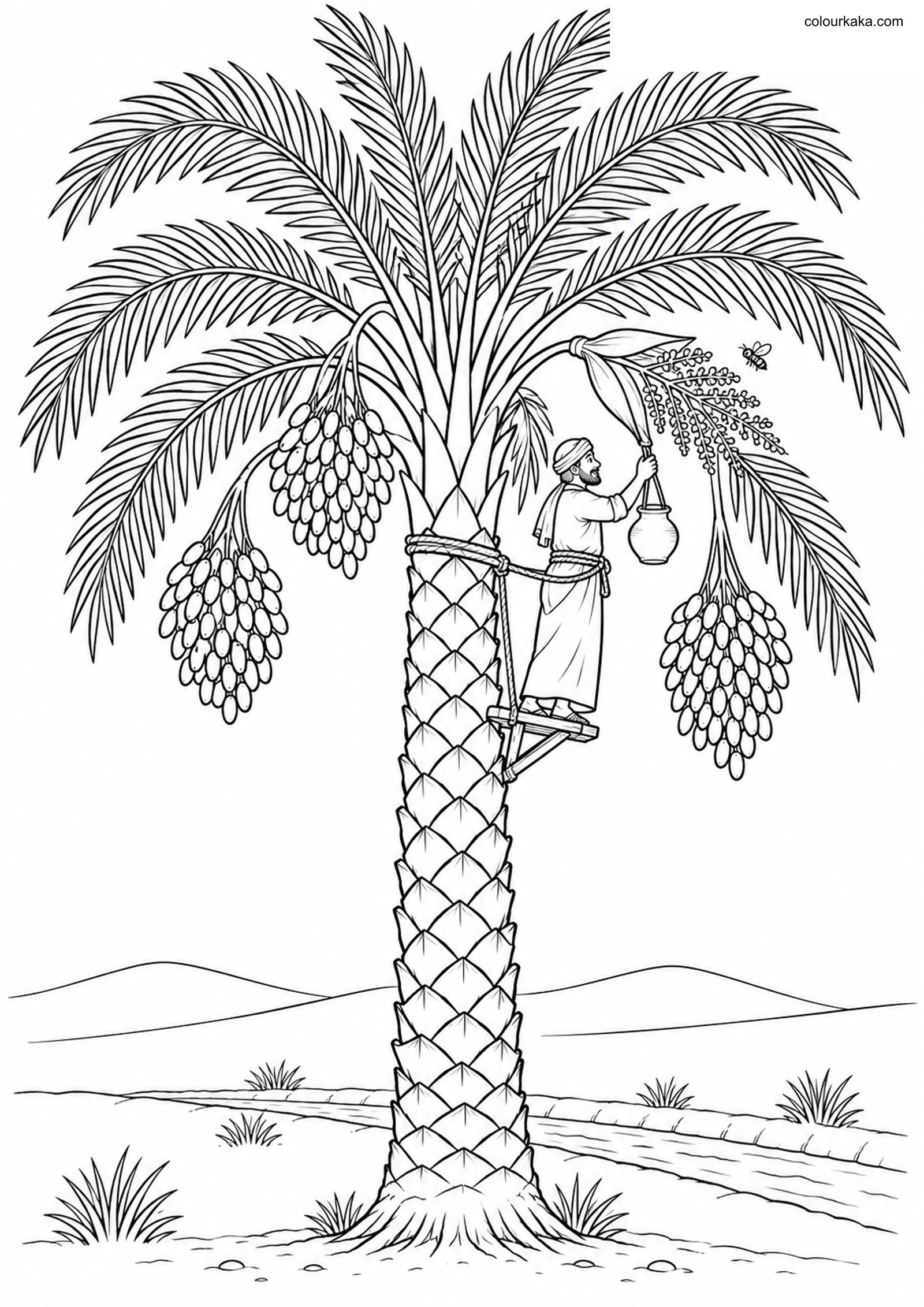 Date Palm Oasis Colouring Page colouring page preview