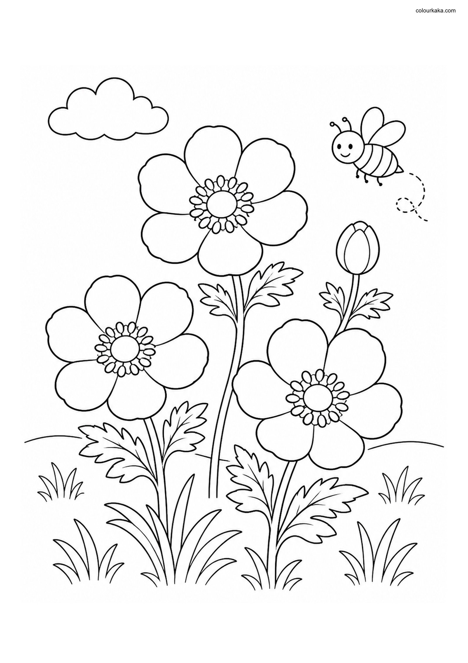 Anemone Garden Colouring Page colouring page preview