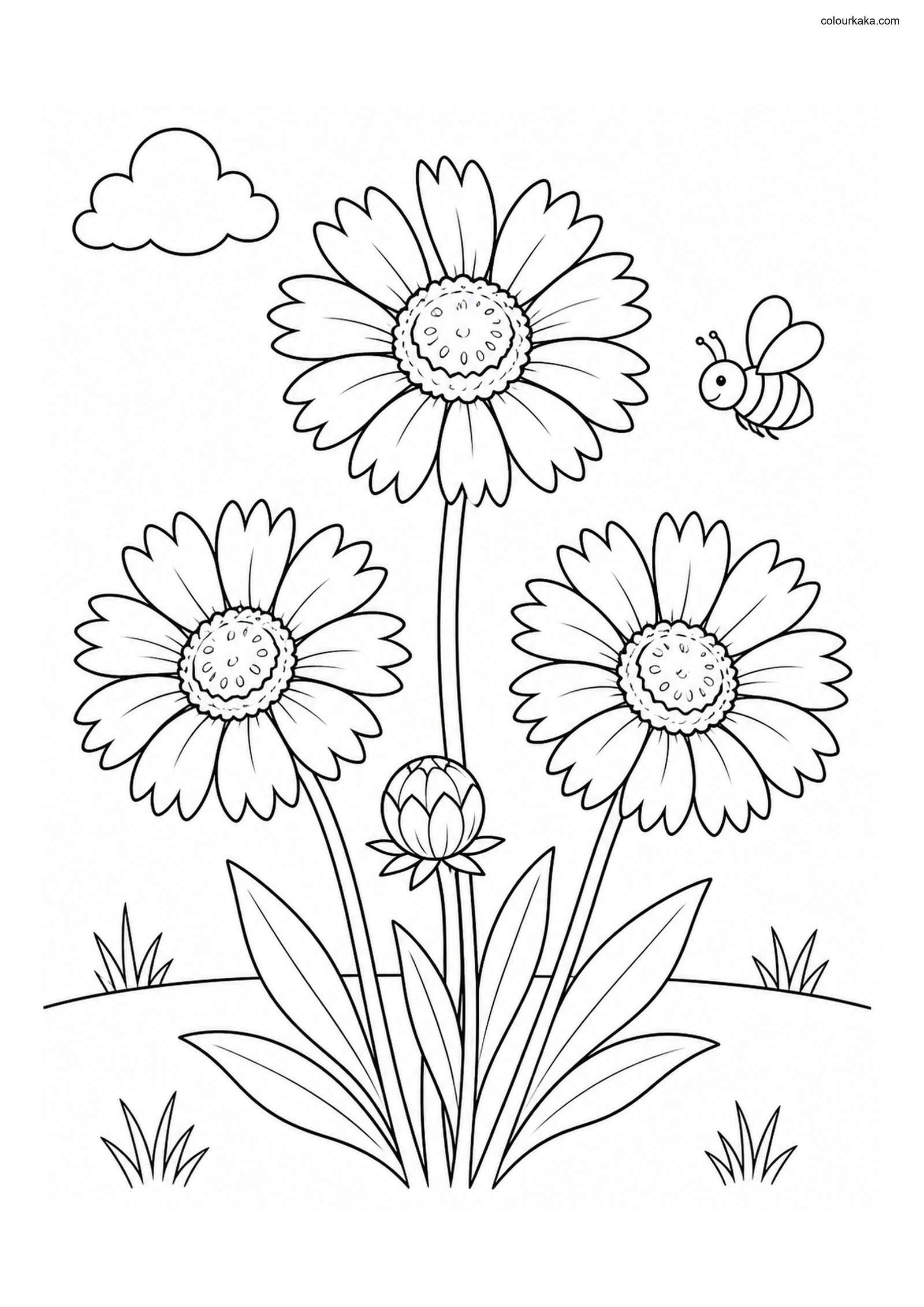 Gaillardia Flower Colouring colouring page preview