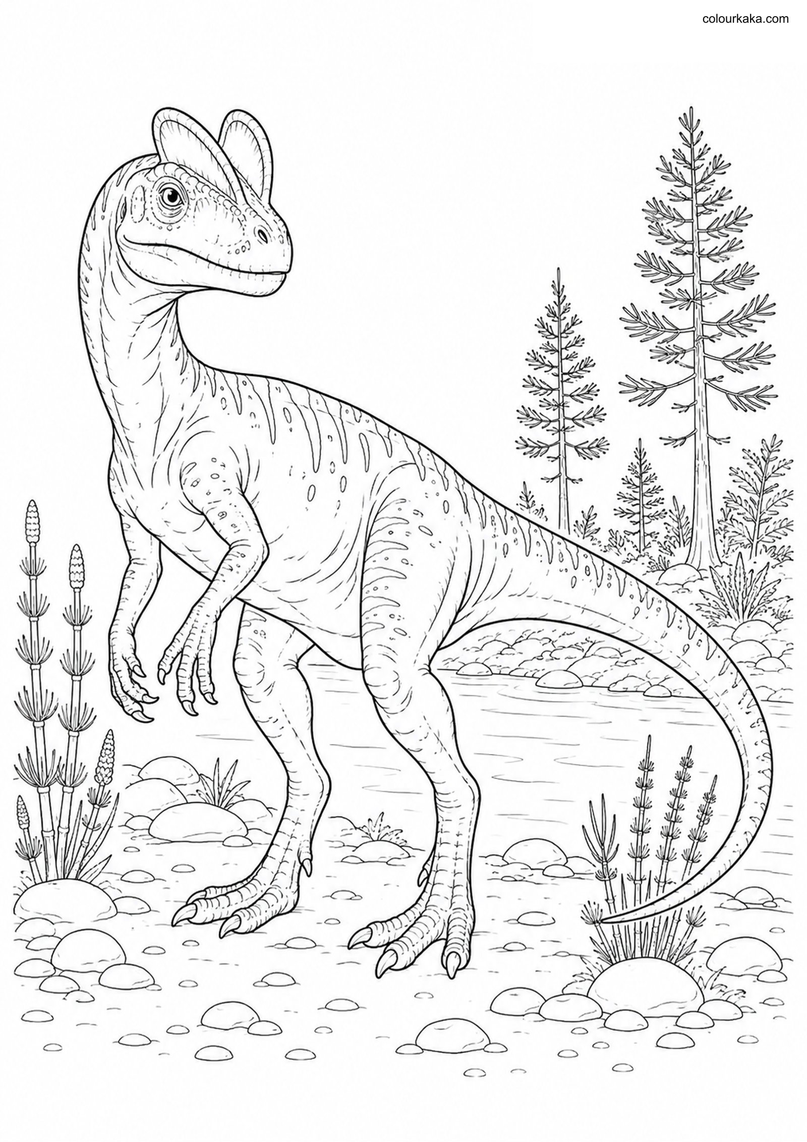 Dilophosaurus Colouring Page colouring page preview