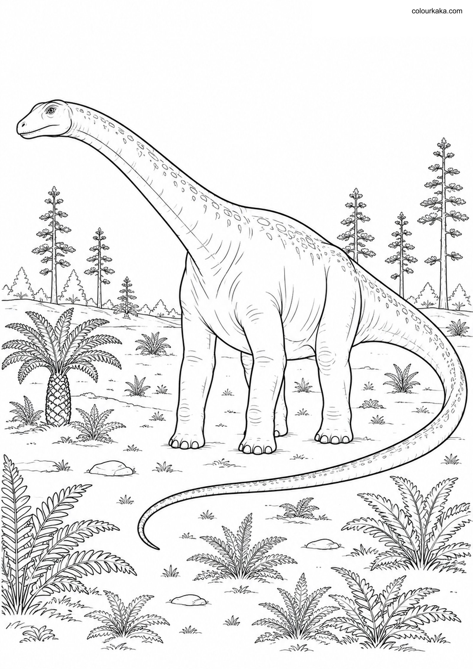 Diplodocus Colouring Page colouring page preview