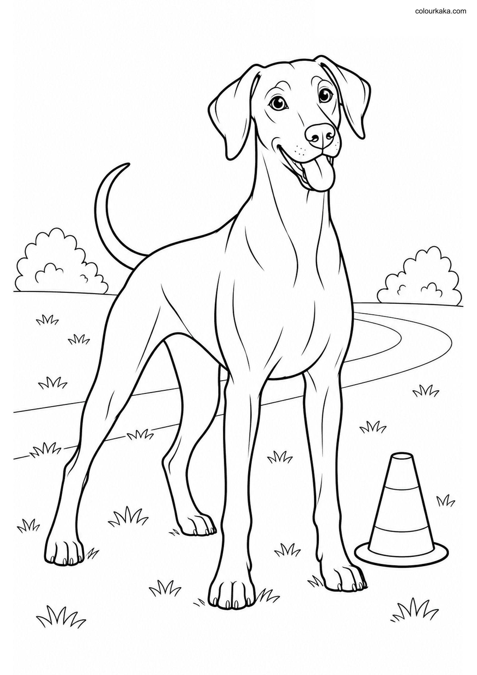 Doberman Pinscher Colouring colouring page preview
