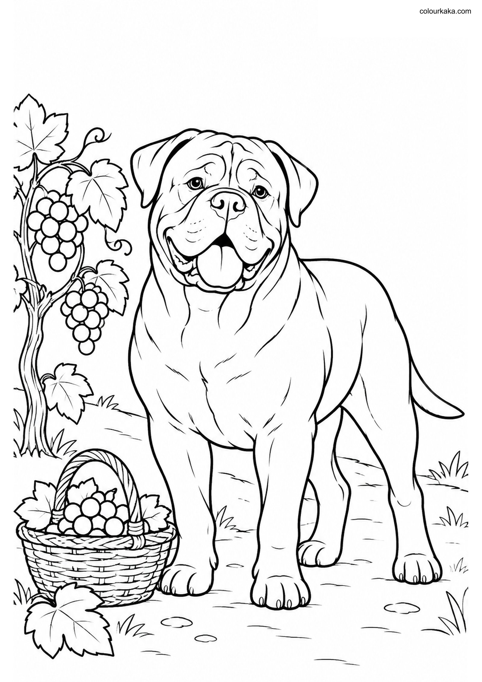 Dogue de Bordeaux Coloring colouring page preview