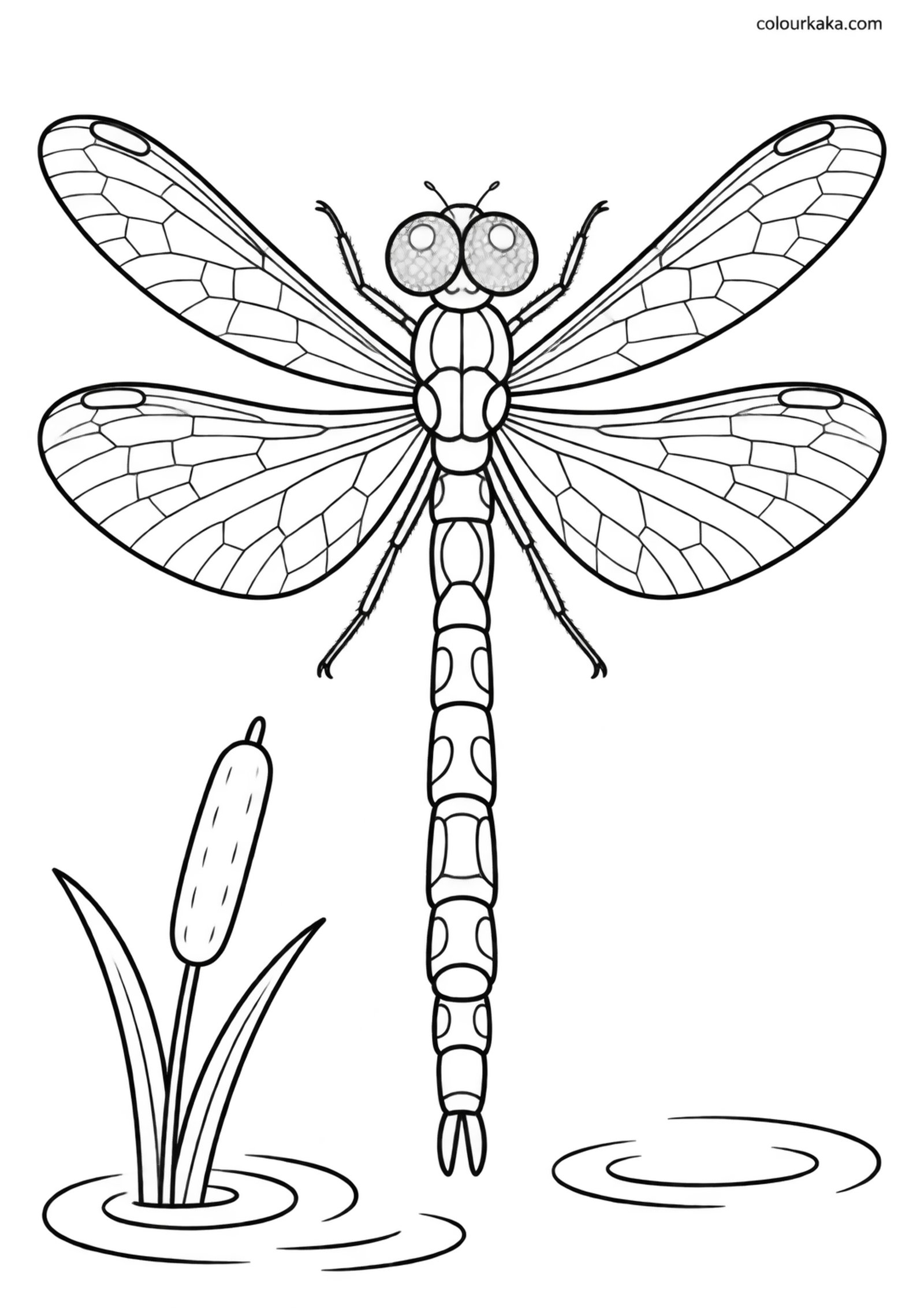 Dragonfly Pond Colouring Page colouring page preview