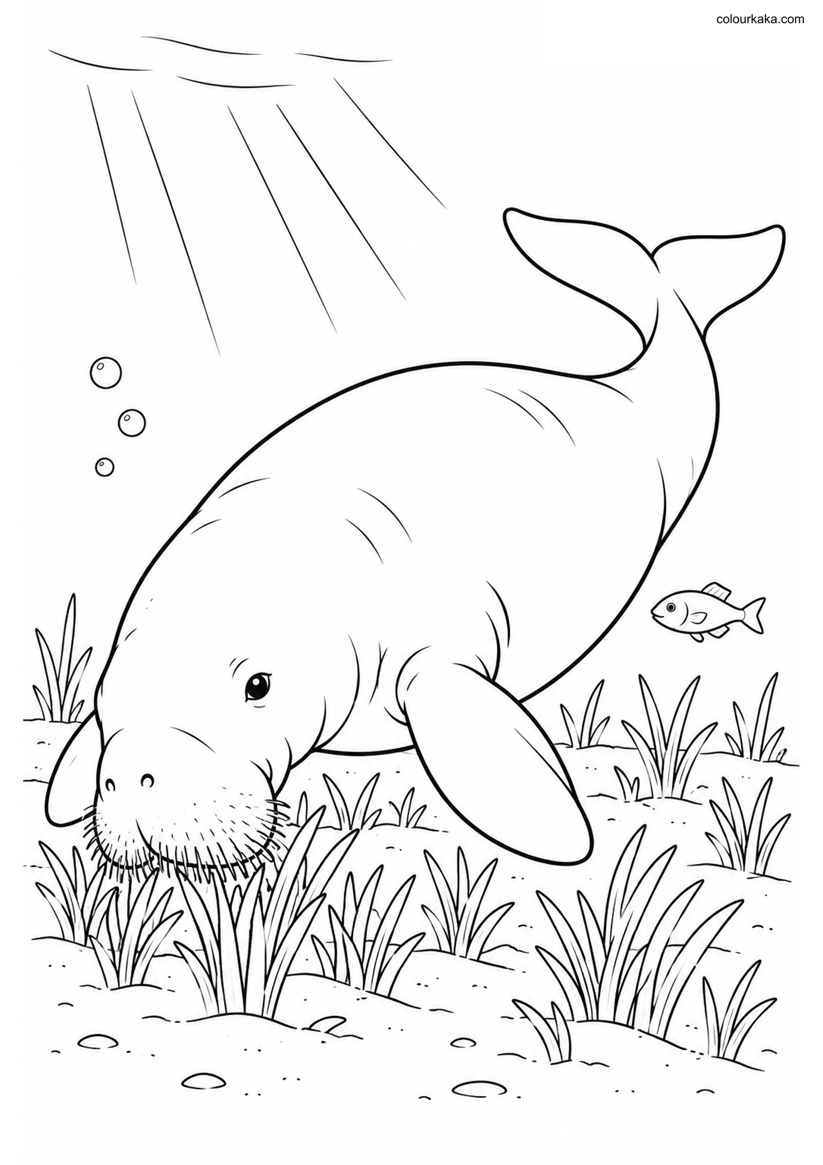 Dugong Seagrass Colouring Page colouring page preview