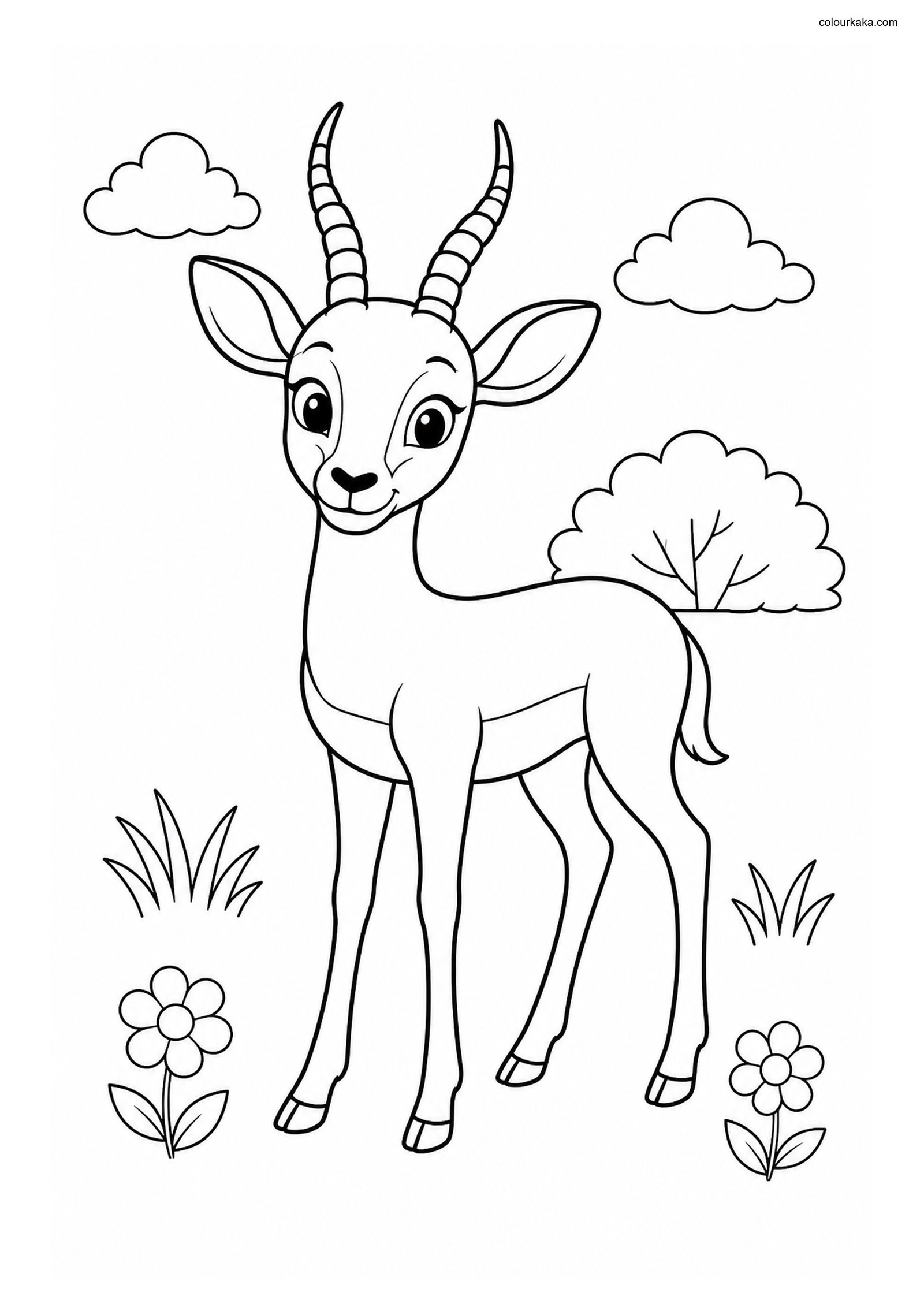 Cute Impala colouring page preview