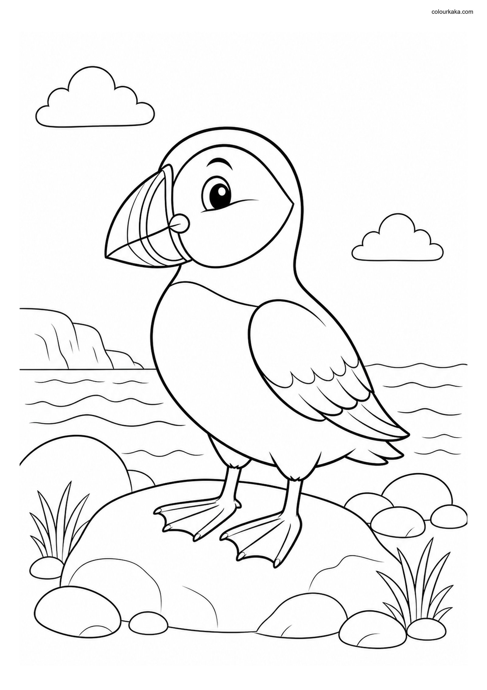 Cute Atlantic Puffin colouring page preview
