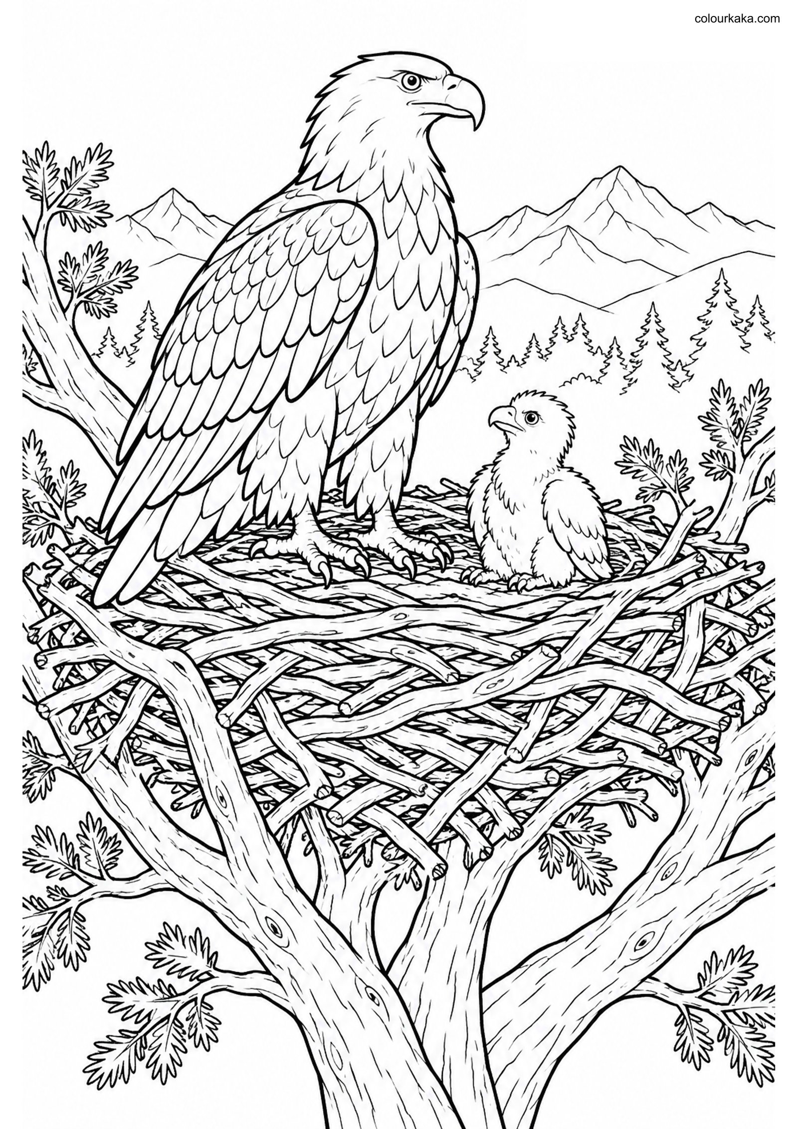 Eagle Platform Nest Colouring colouring page preview