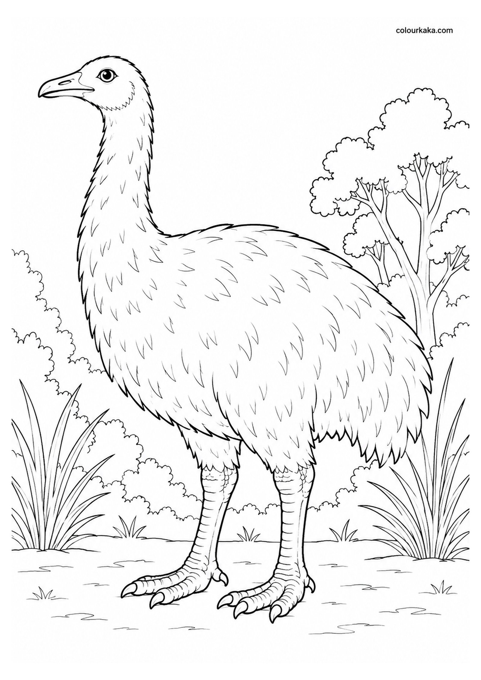 Eastern Moa Colouring Page colouring page preview
