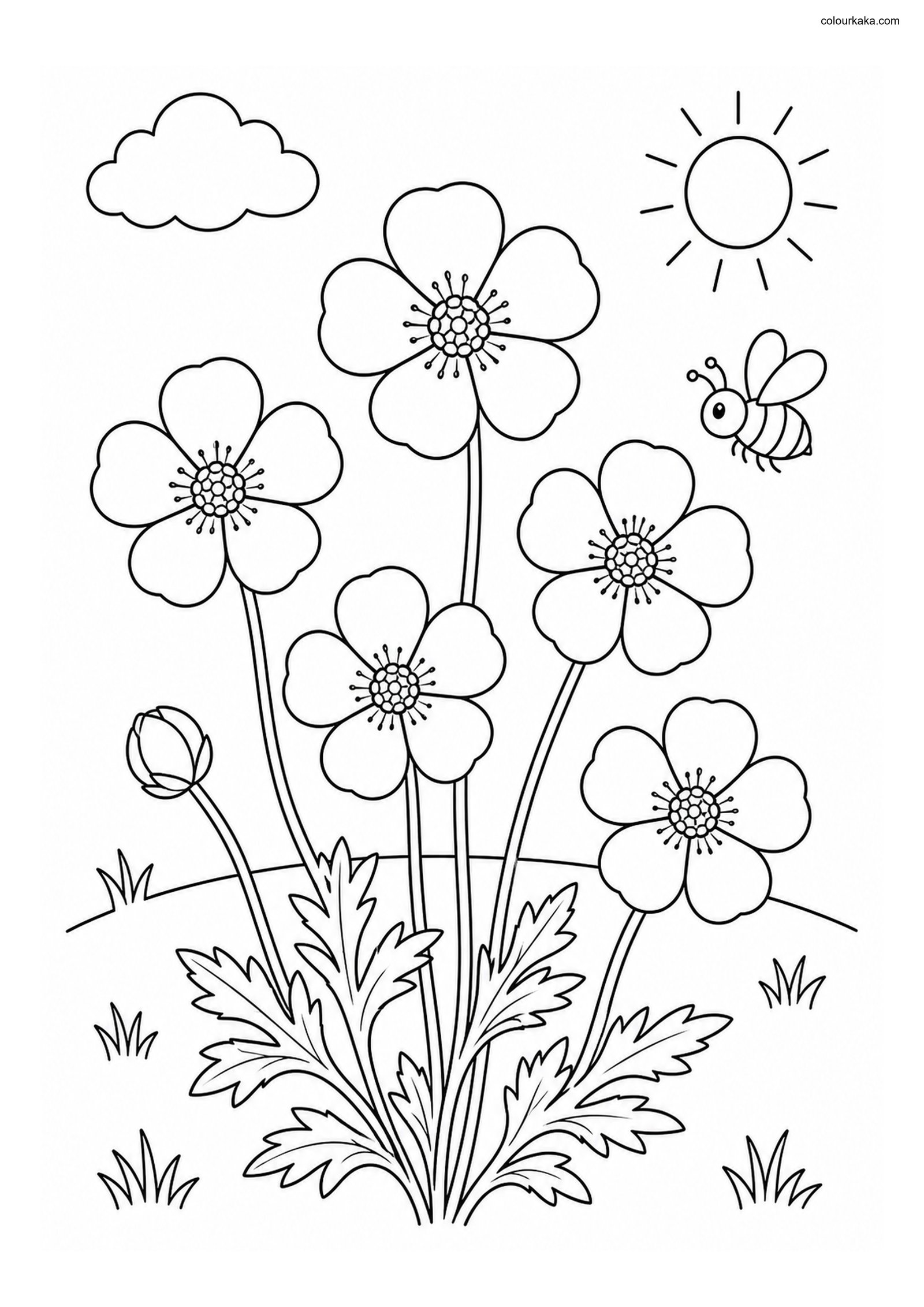 Buttercup Meadow Colouring Page colouring page preview