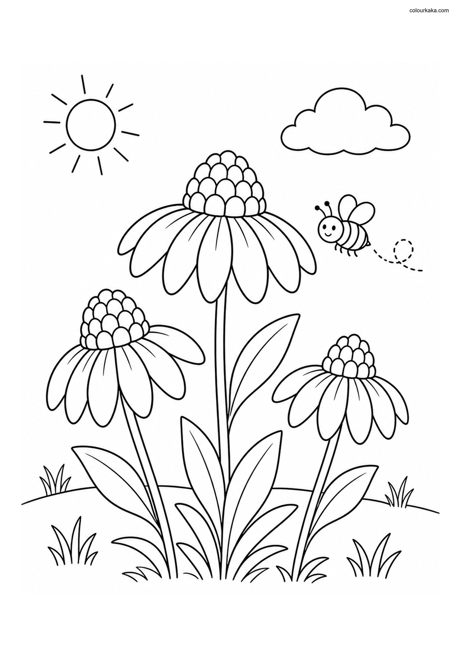 Coneflower Garden Colouring colouring page preview