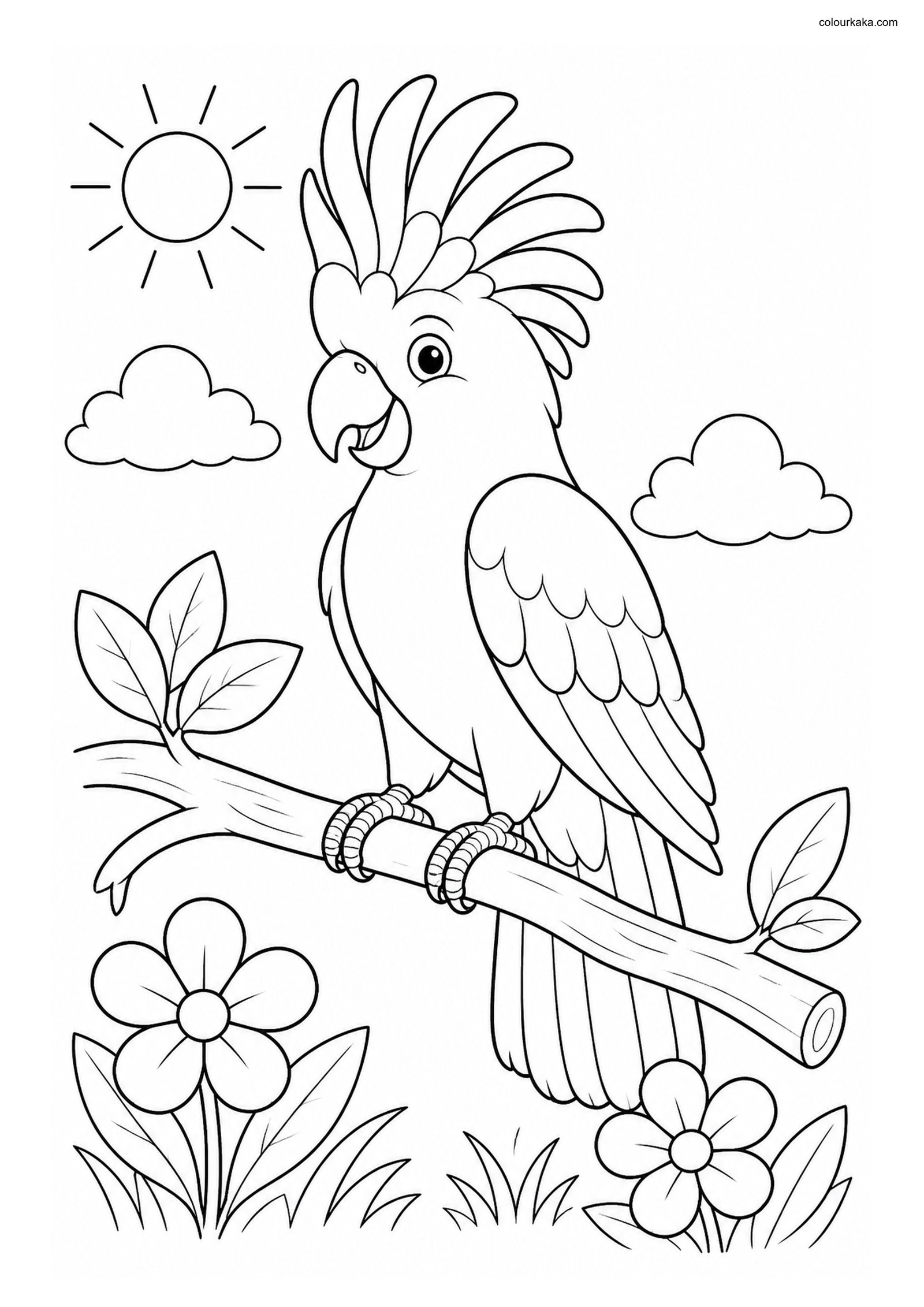 Cockatoo Coloring Sheet for Kids colouring page preview