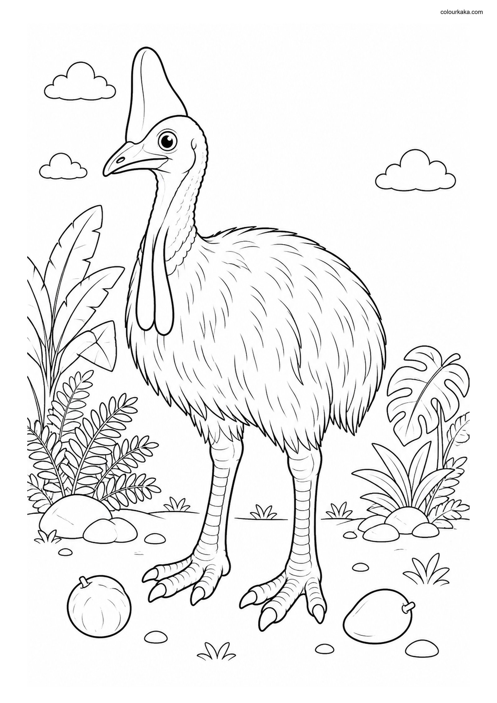 Cassowary Colouring Art for Kids colouring page preview