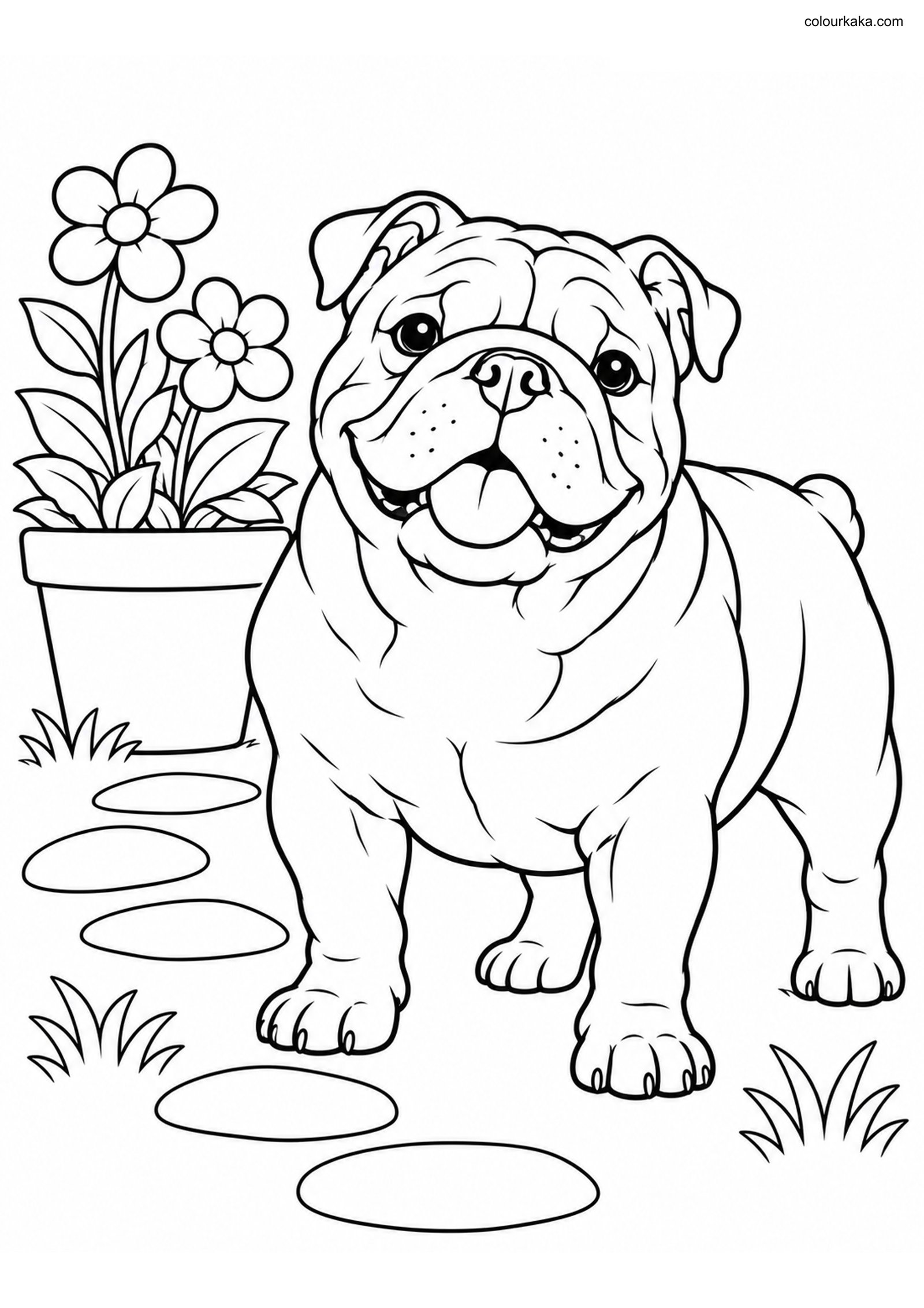 English Bulldog Colouring Page colouring page preview