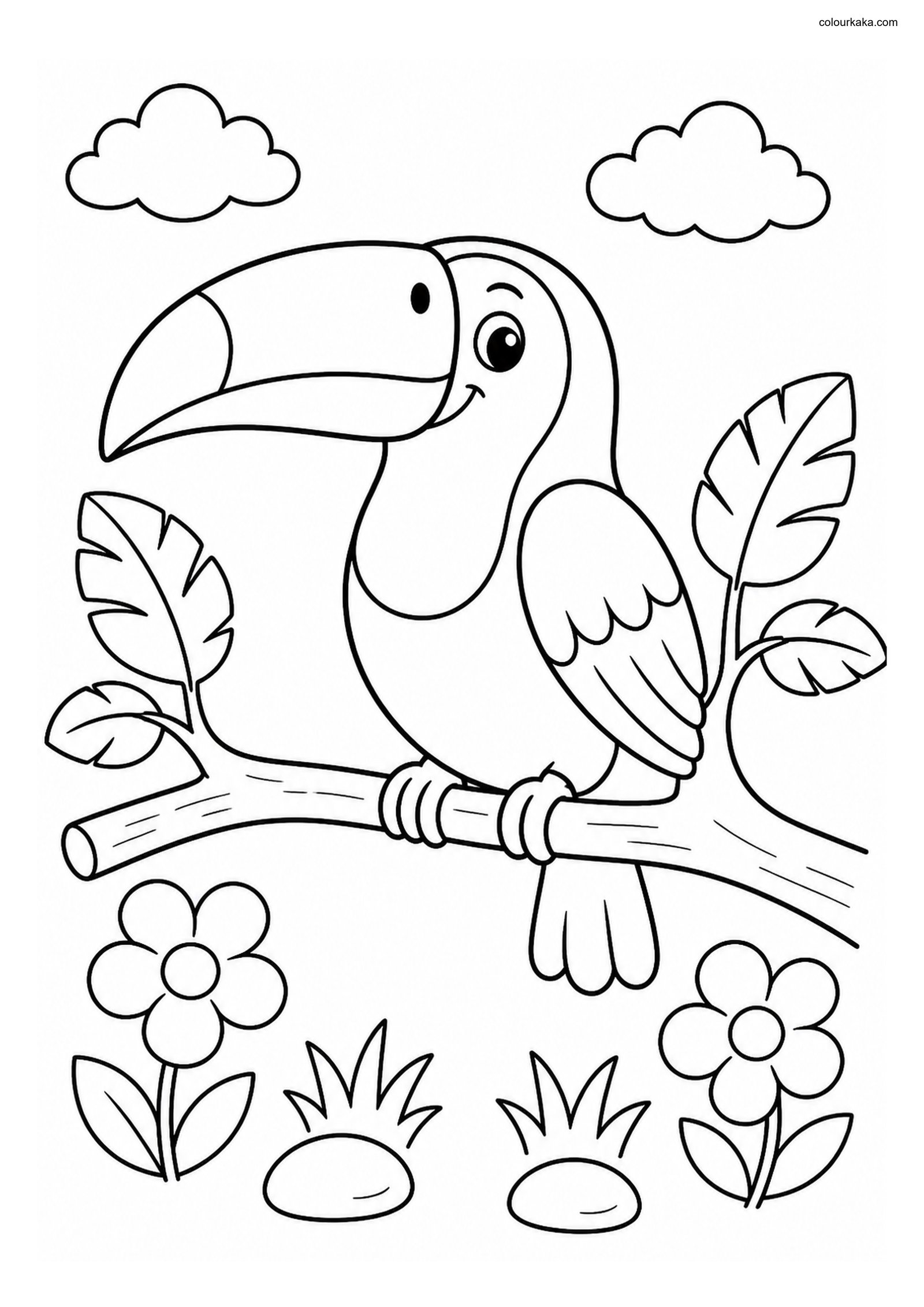 Cute Toco Toucan colouring page preview