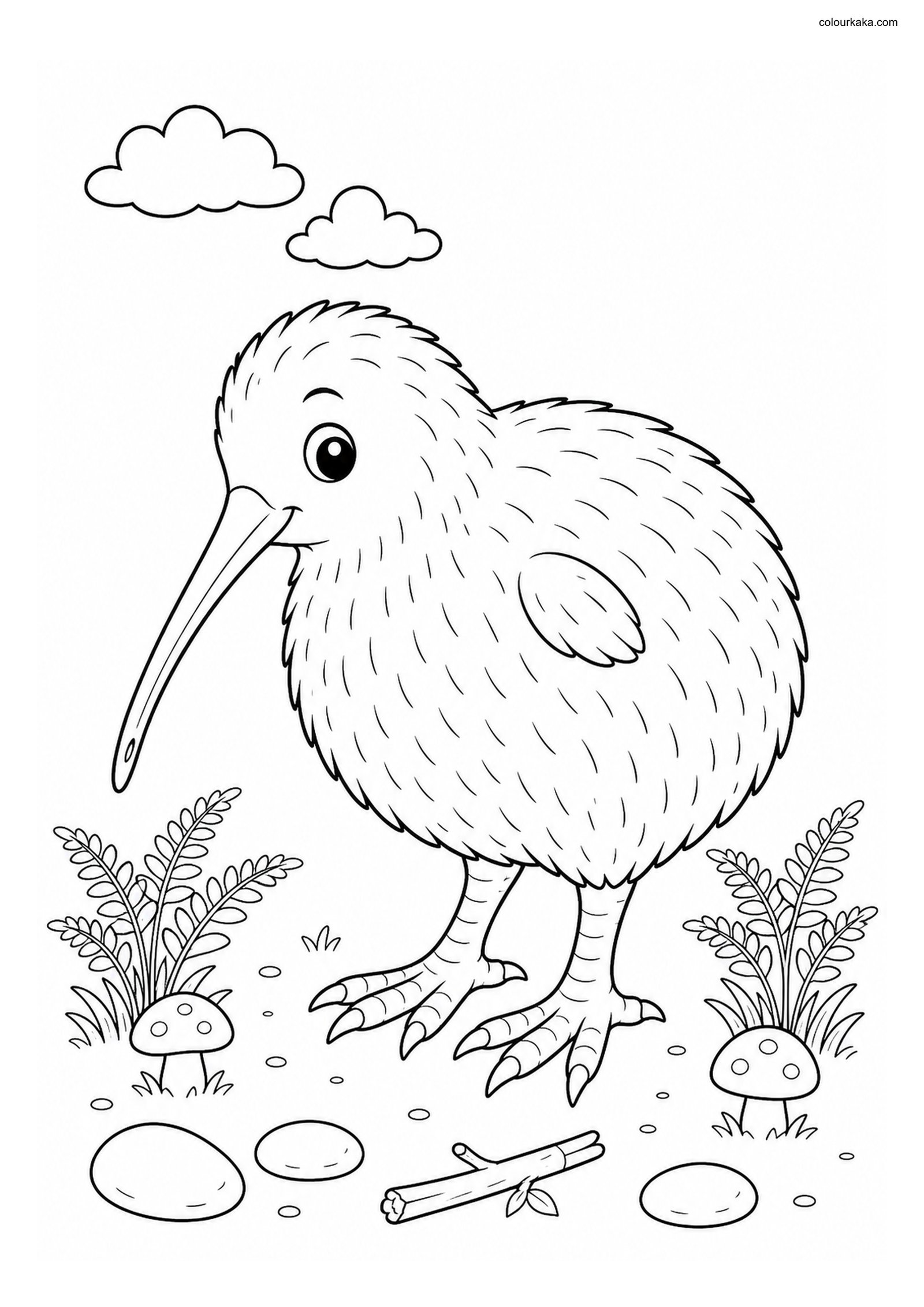 Cute Kiwi Bird colouring page preview