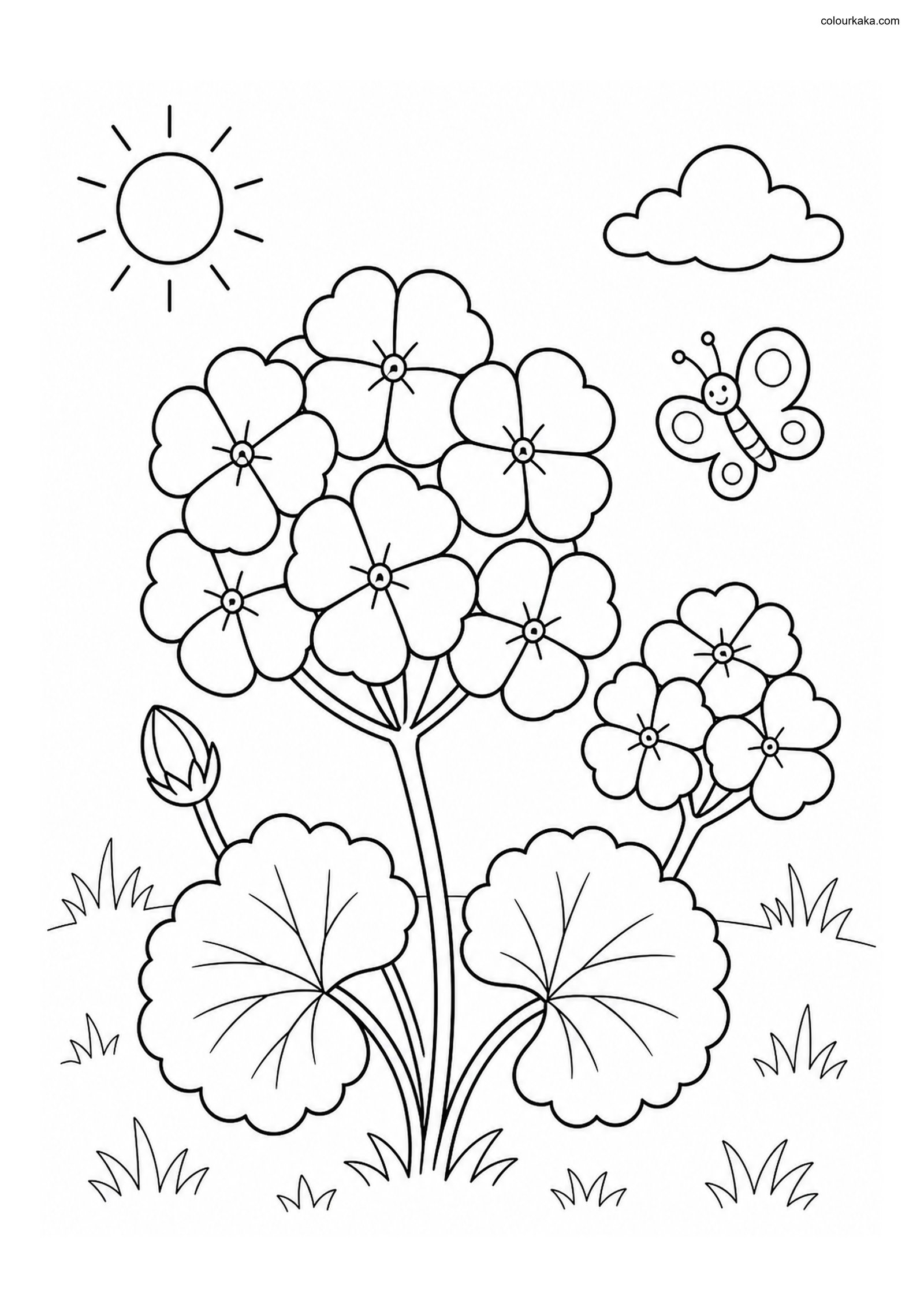 Geranium Garden Colouring Page colouring page preview