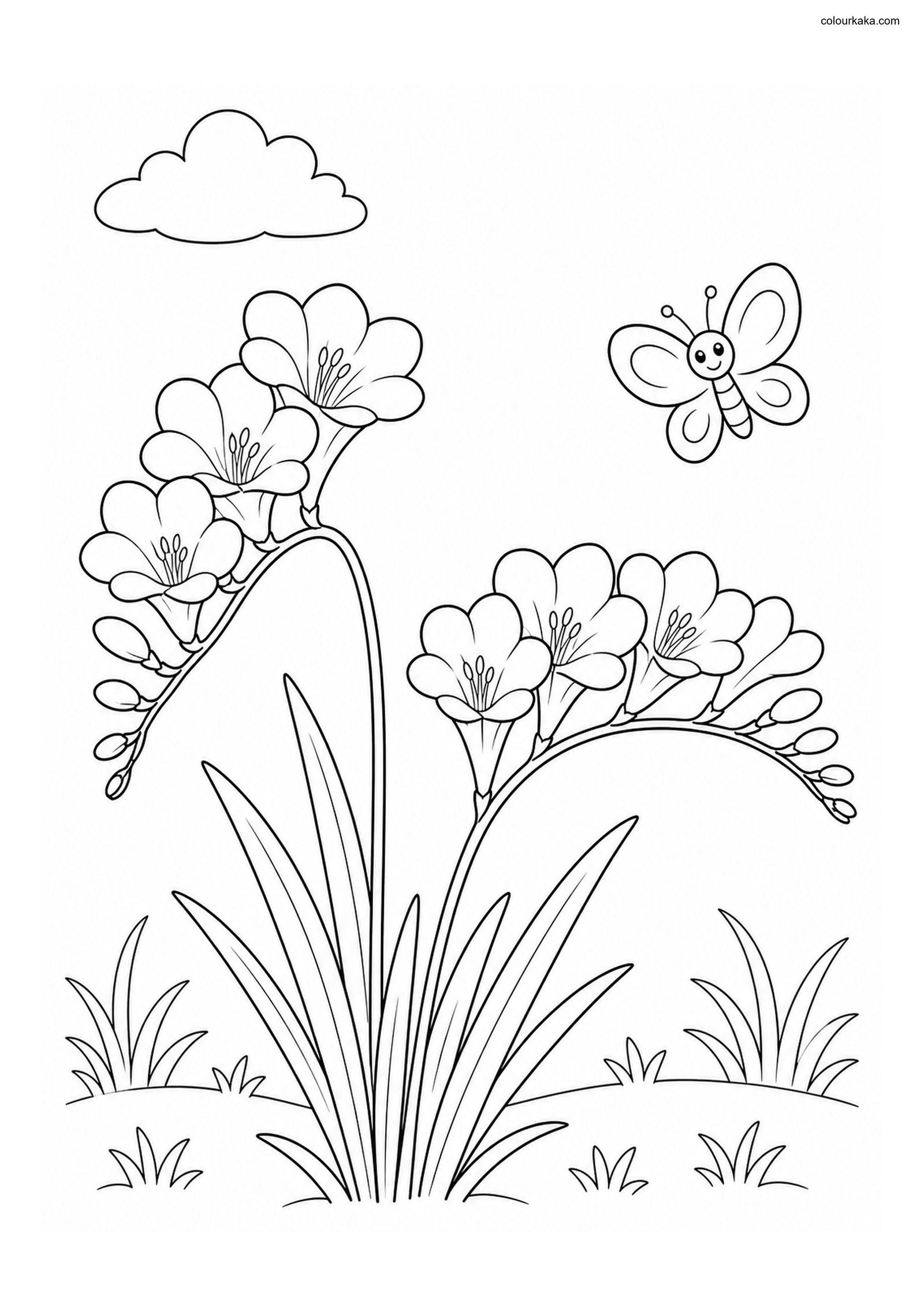 Freesia Spring Colouring Page colouring page preview