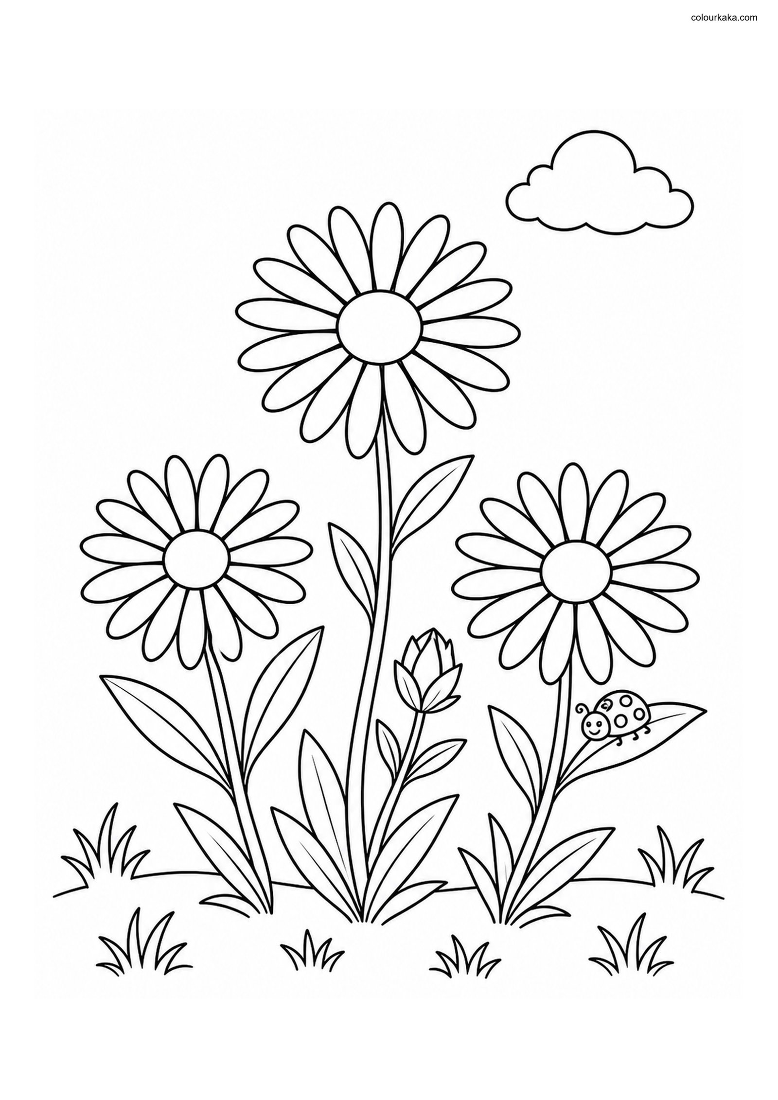 Aster Garden Colouring Sheet colouring page preview