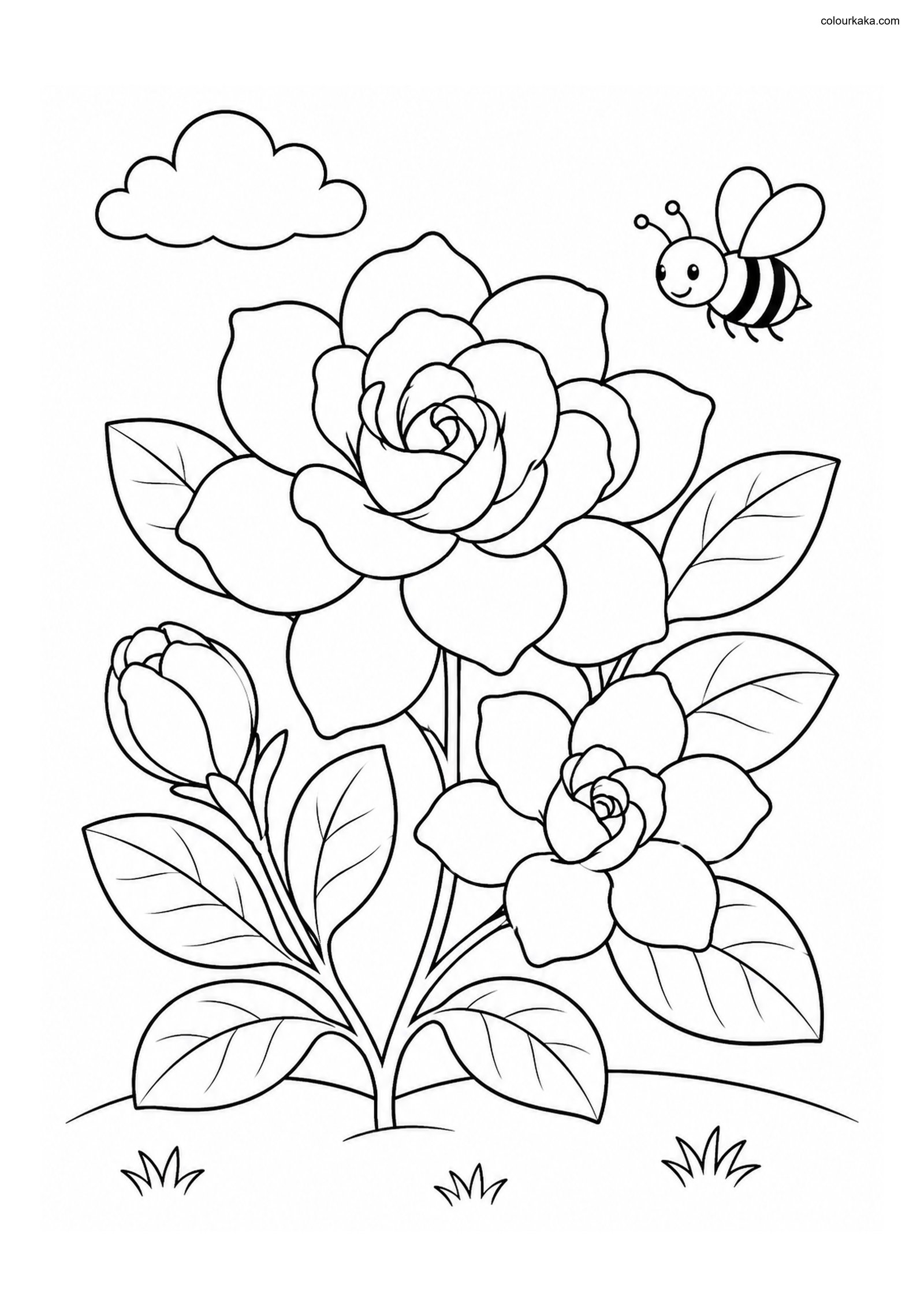 Gardenia Flower Colouring Page colouring page preview