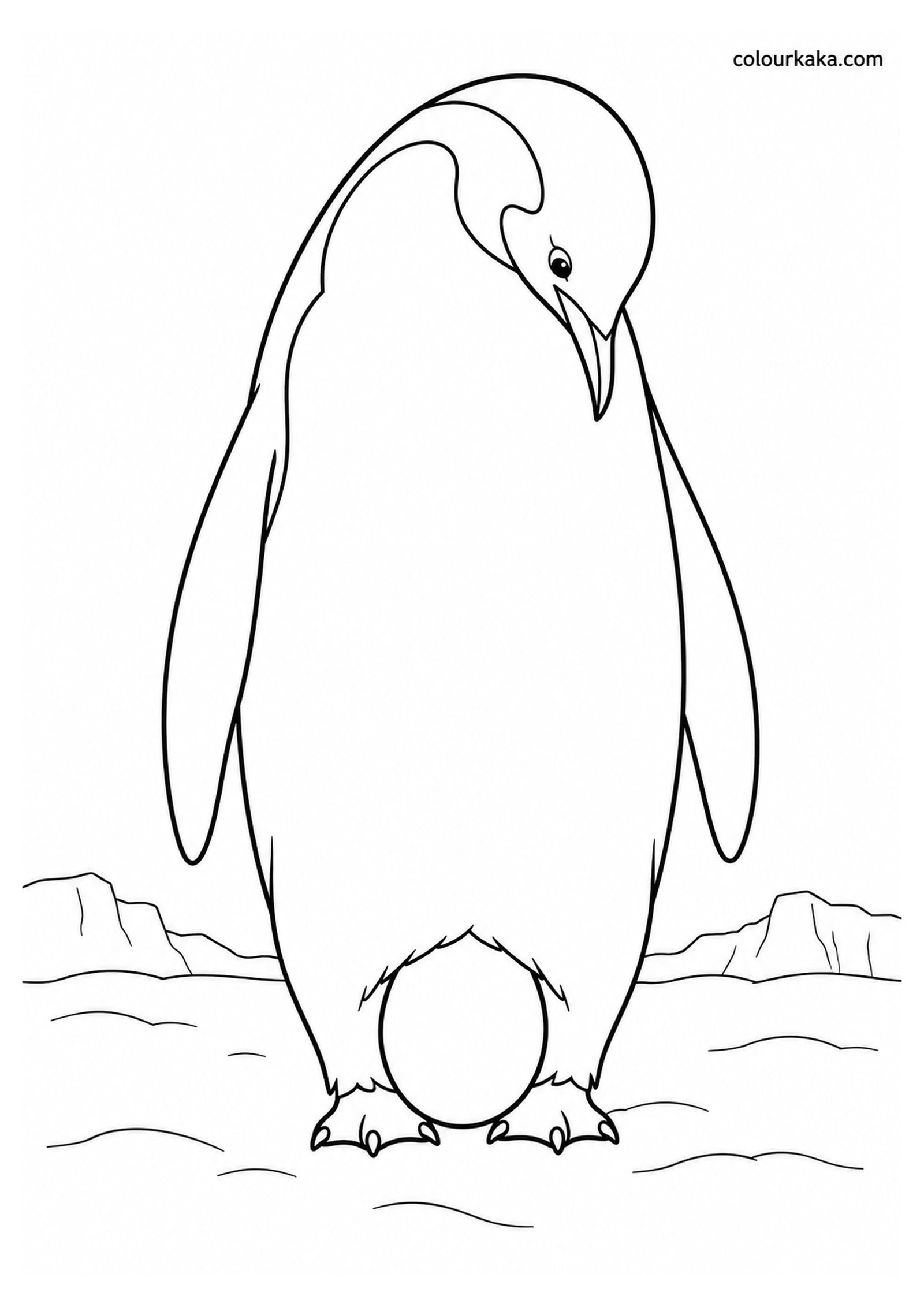 Father Penguin Carrying an Egg Colouring Page colouring page preview