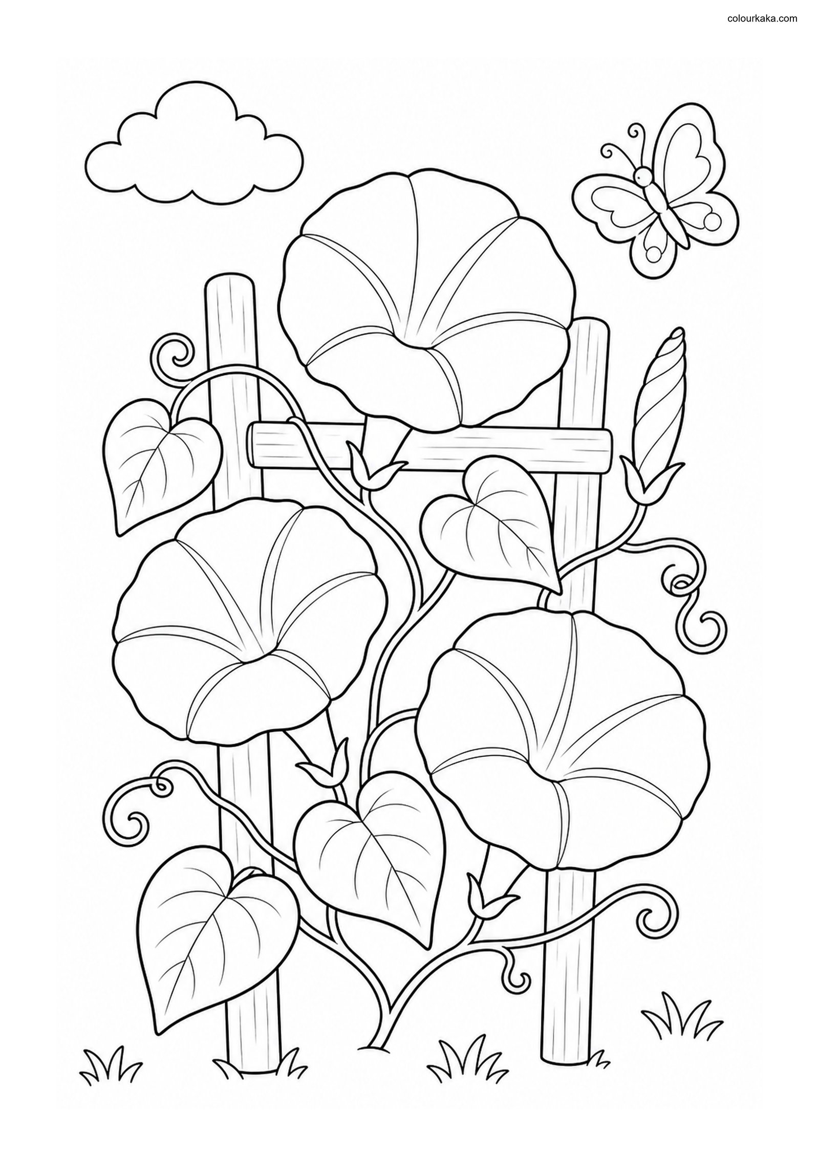 Morning Glory Colouring Page colouring page preview