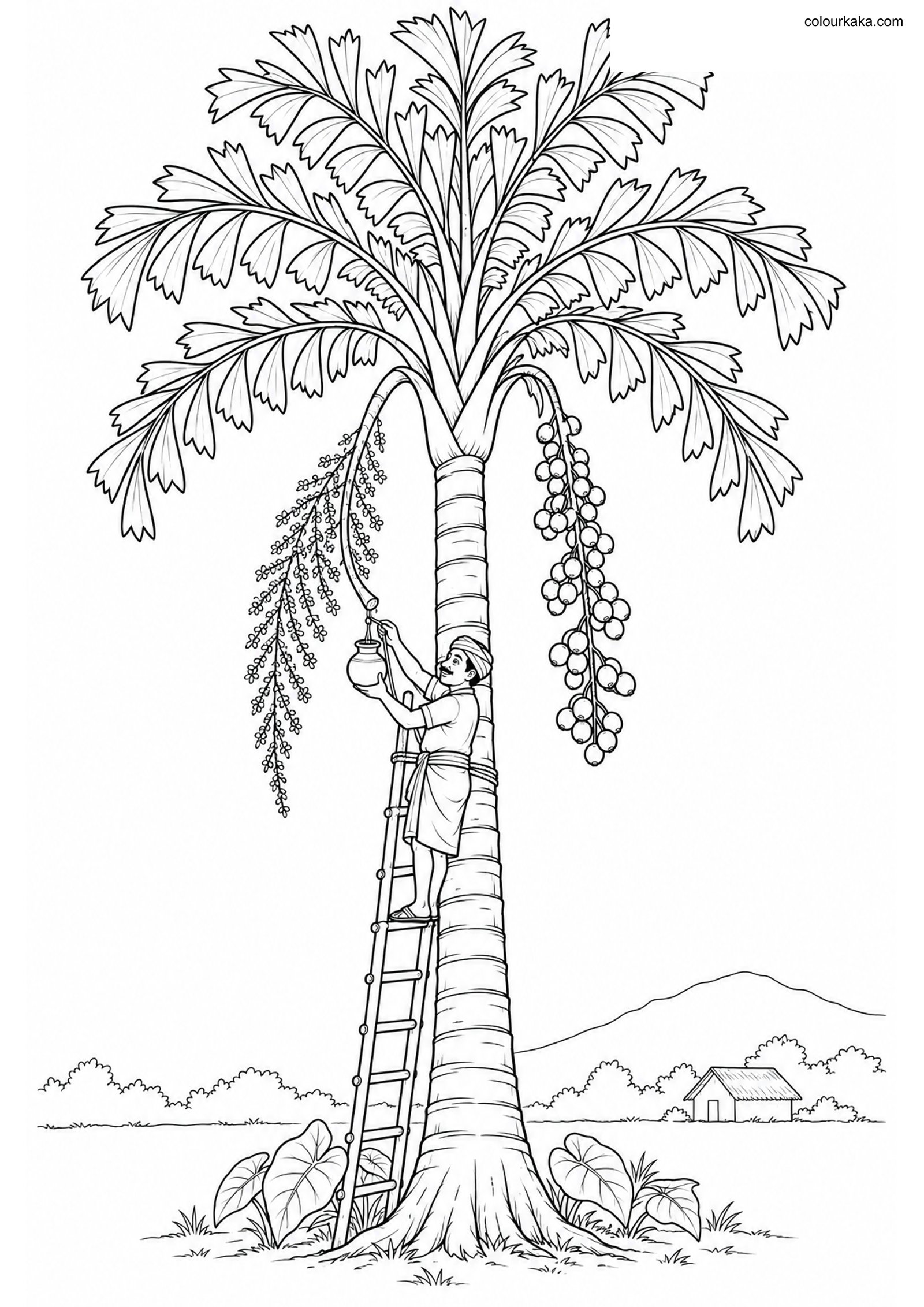 Fishtail Palm Toddy Page colouring page preview