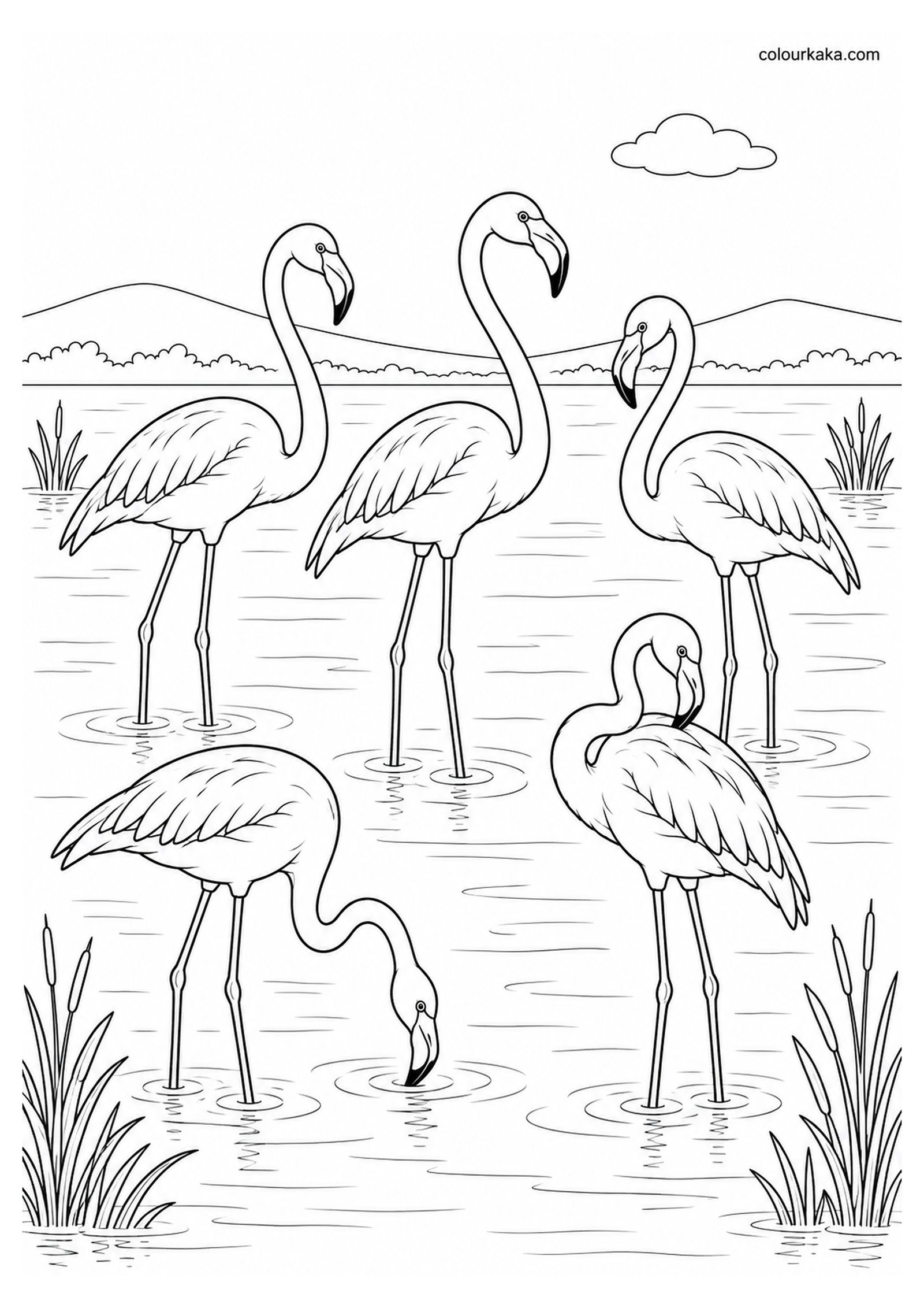 Flamingo Flock at a Beautiful Wetland Colouring Page colouring page preview