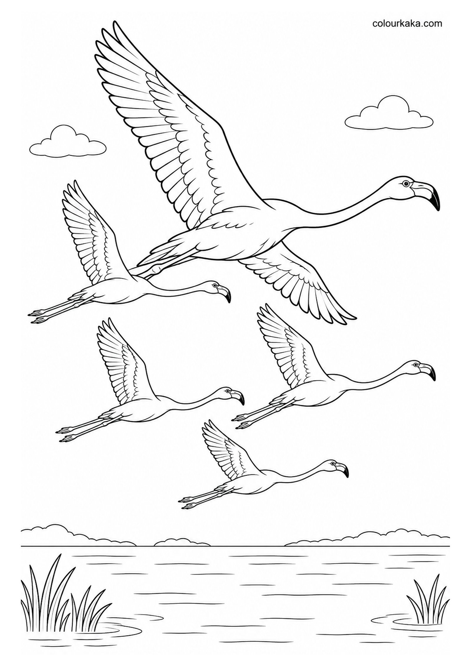 Flamingo Flying with Its Flock Colouring Page colouring page preview