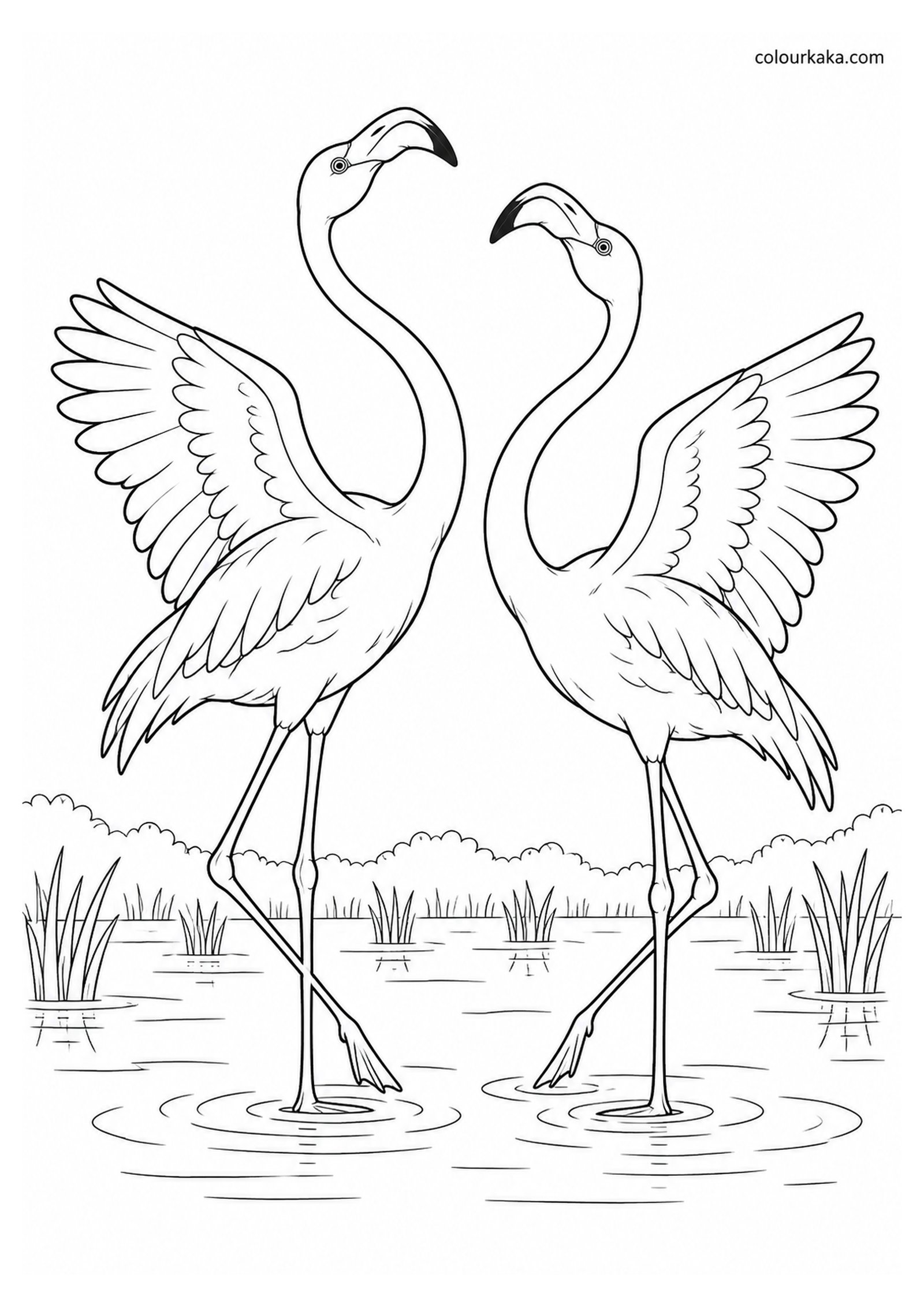 Flamingo Pair Performing a Courtship Dance Colouring Page colouring page preview