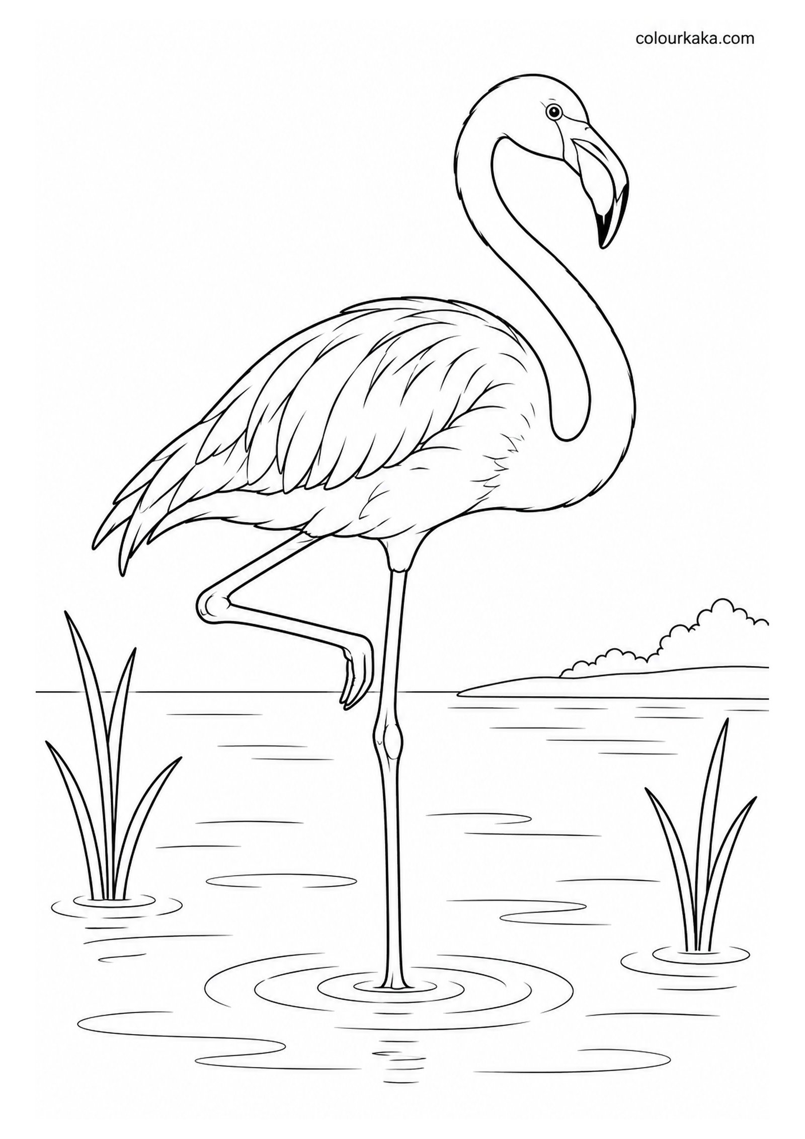 Flamingo Standing on One Leg Colouring Page colouring page preview