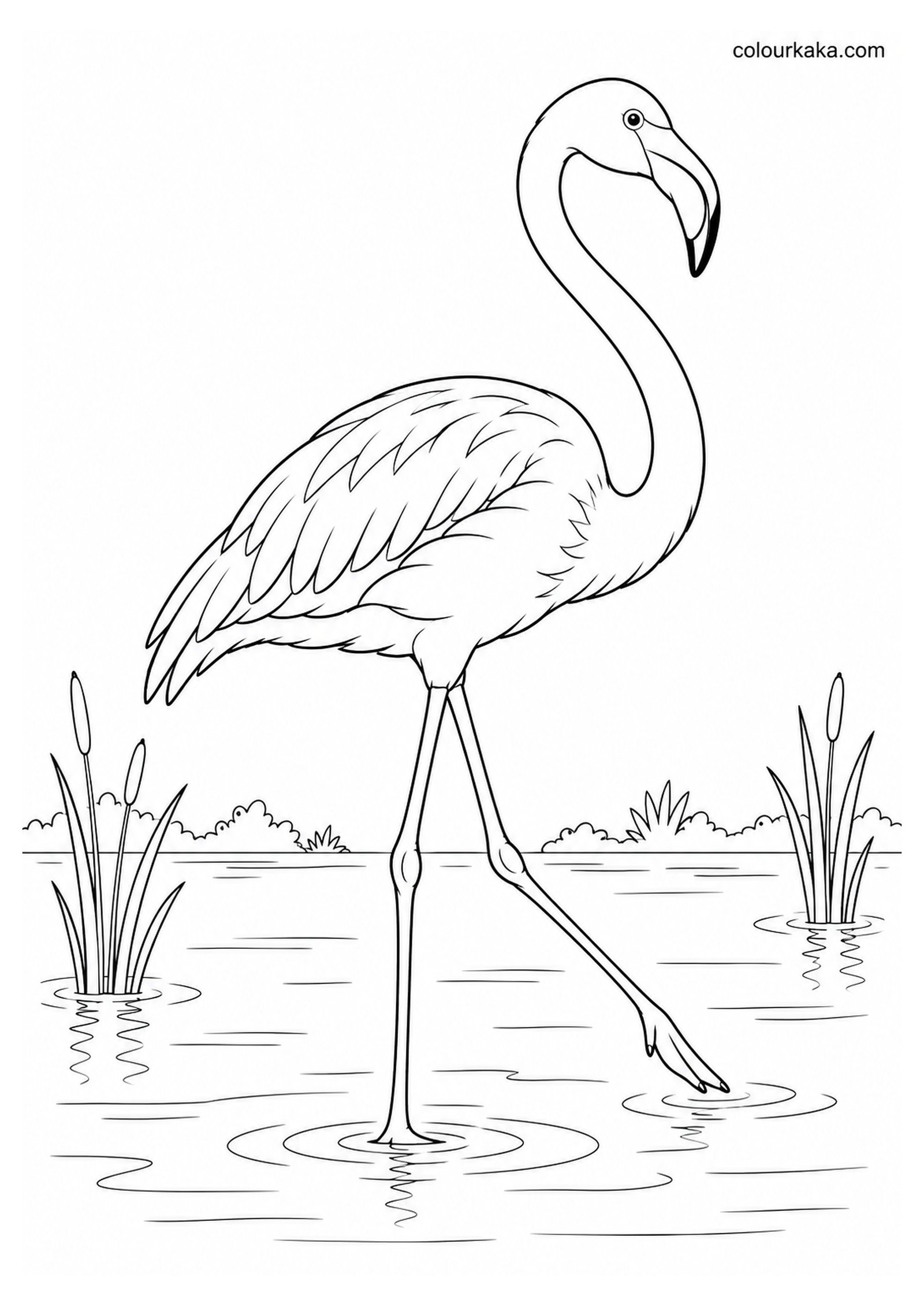 Flamingo Walking Through a Lagoon Colouring Page colouring page preview