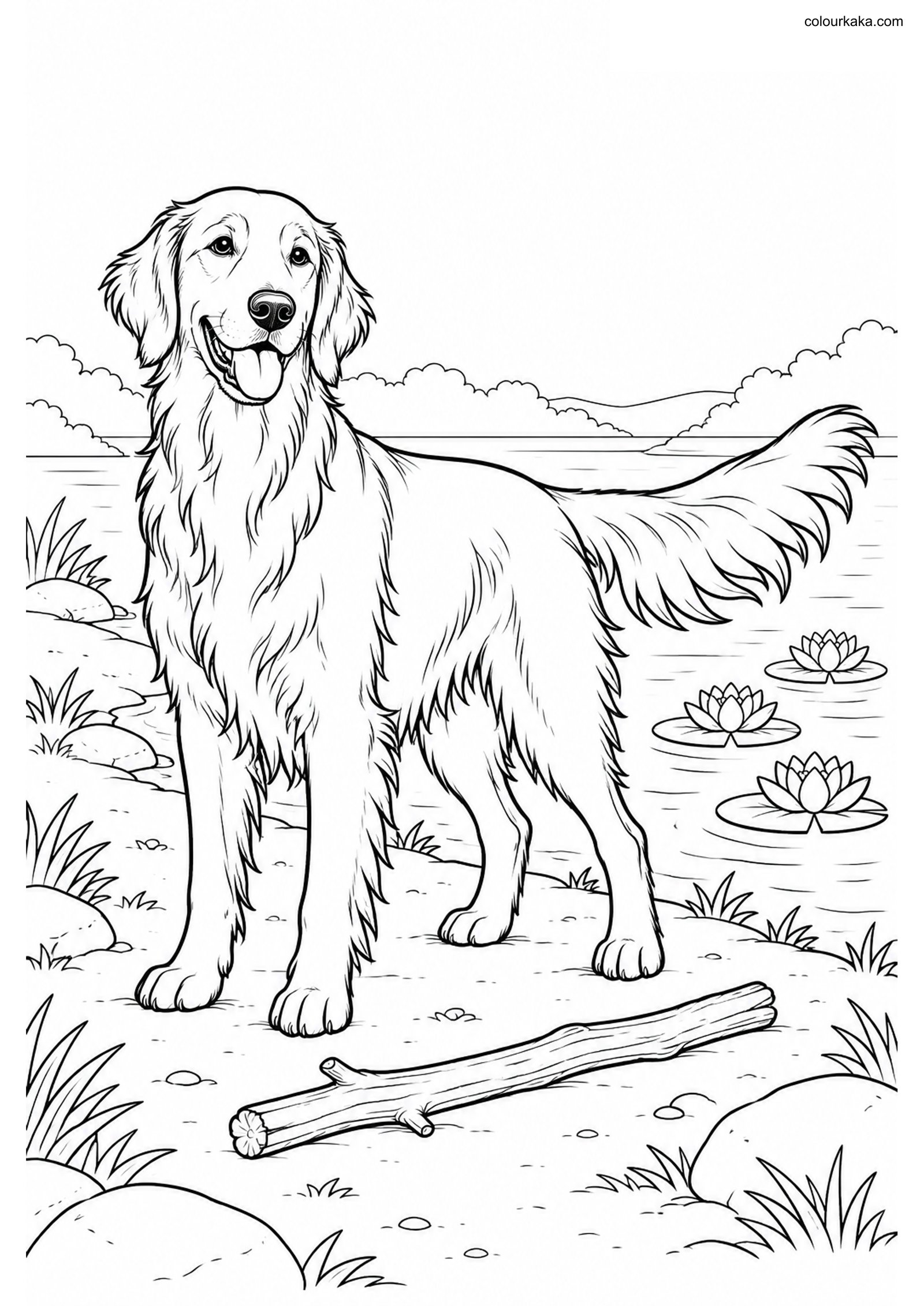 Flat-Coated Retriever Colouring colouring page preview