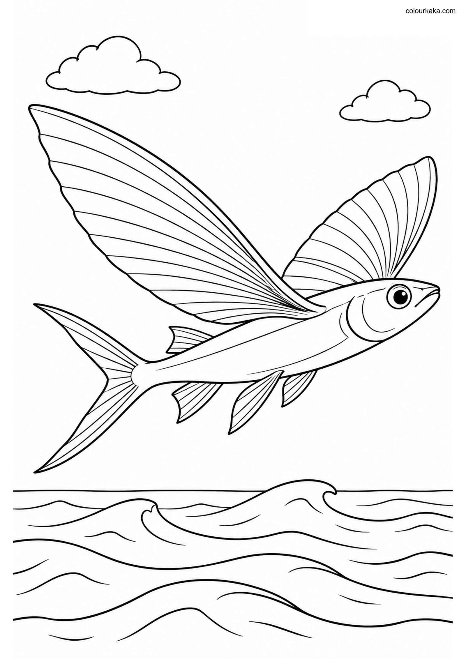 Flying Fish Colouring Page colouring page preview