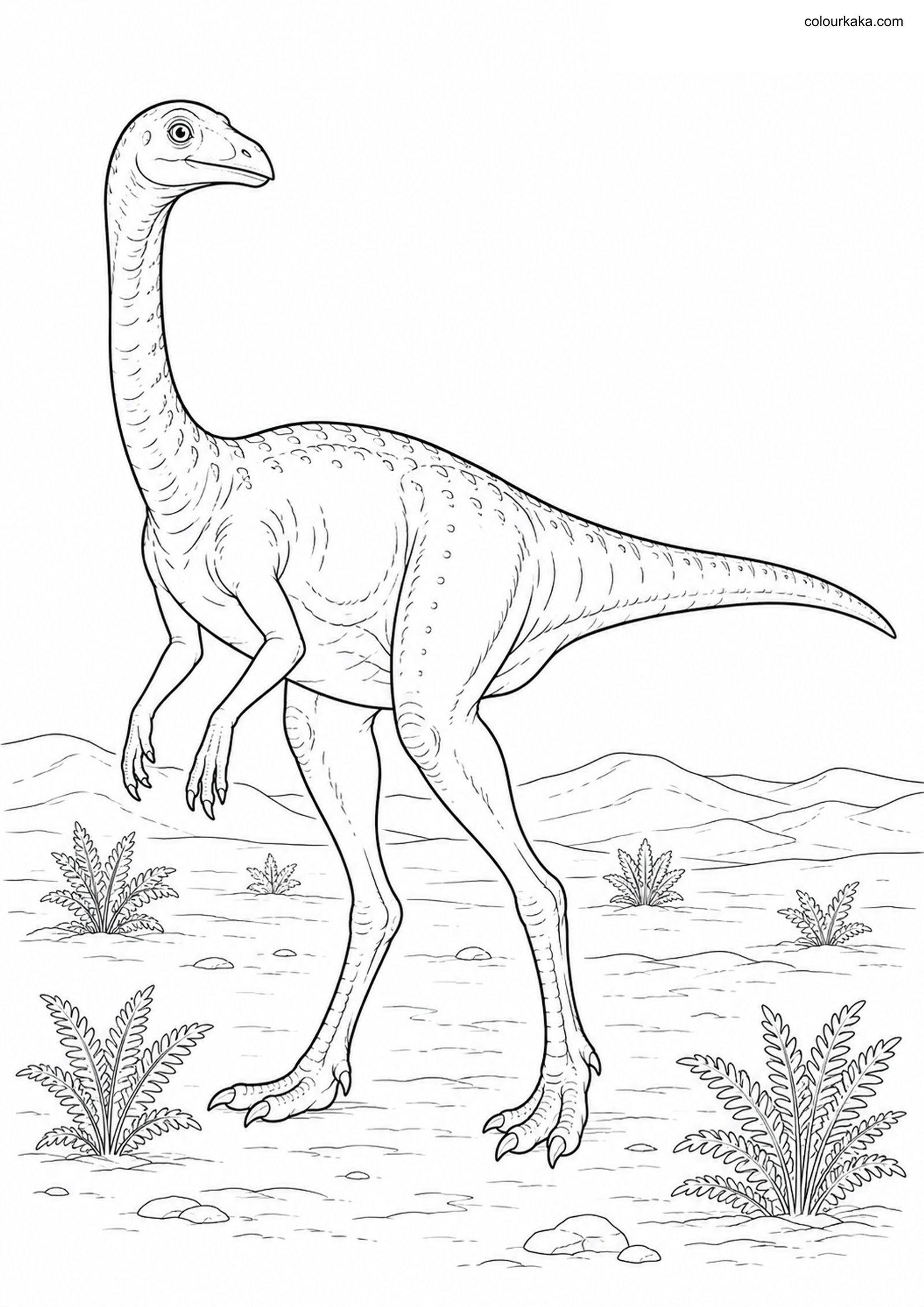 Gallimimus Colouring Page colouring page preview