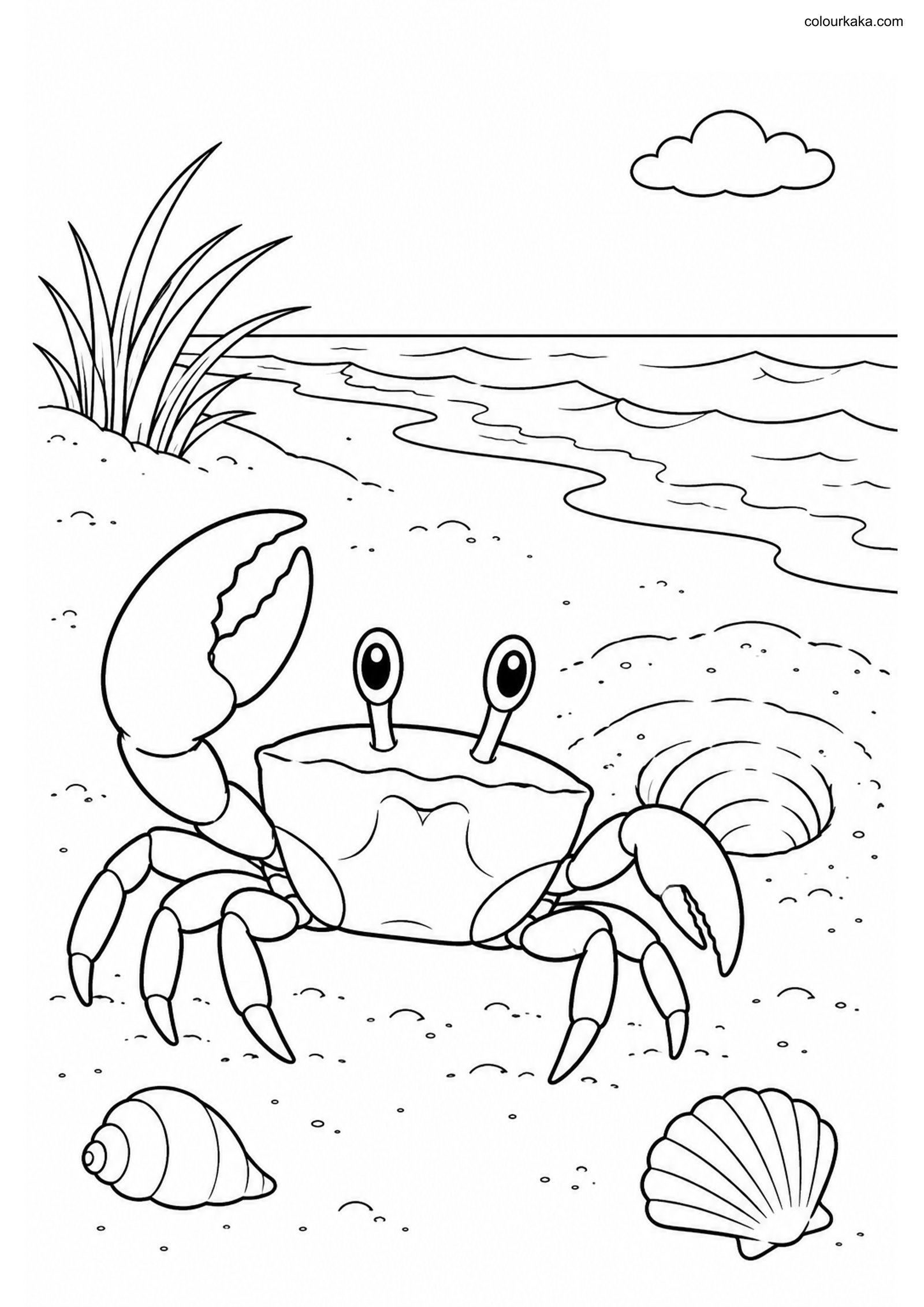 Ghost Crab Beach Colouring colouring page preview