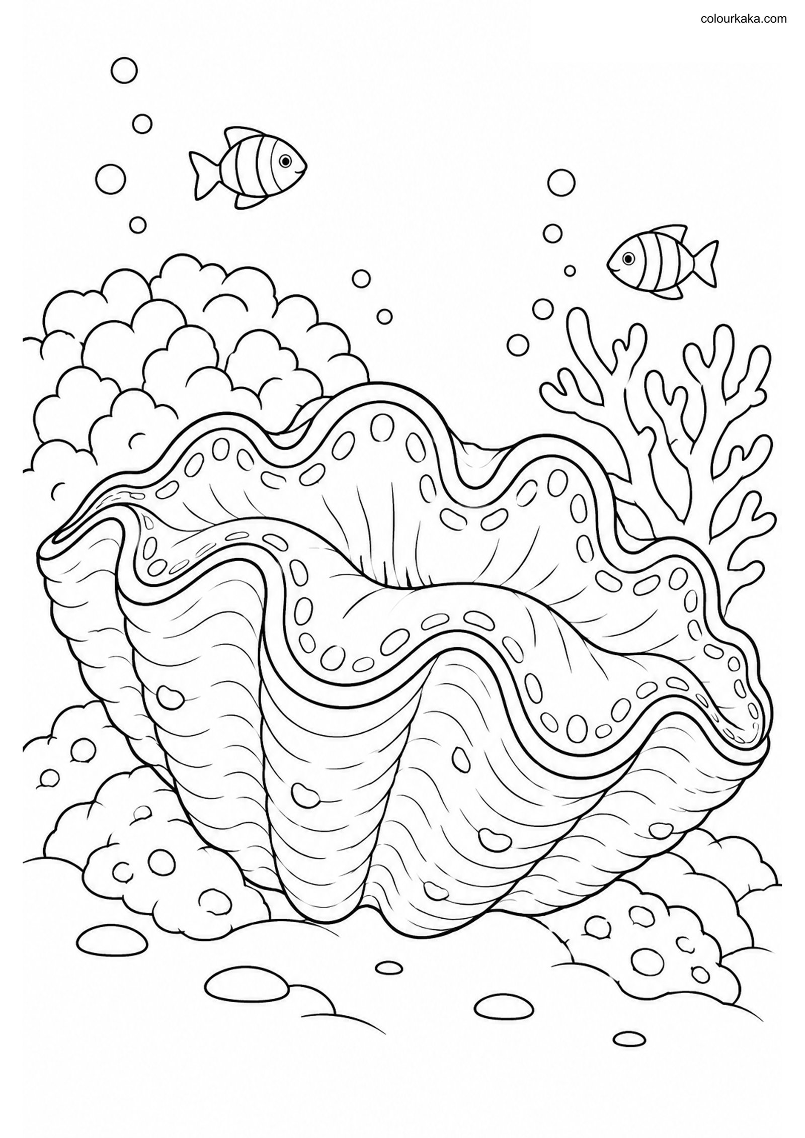 Giant Clam Reef Colouring colouring page preview