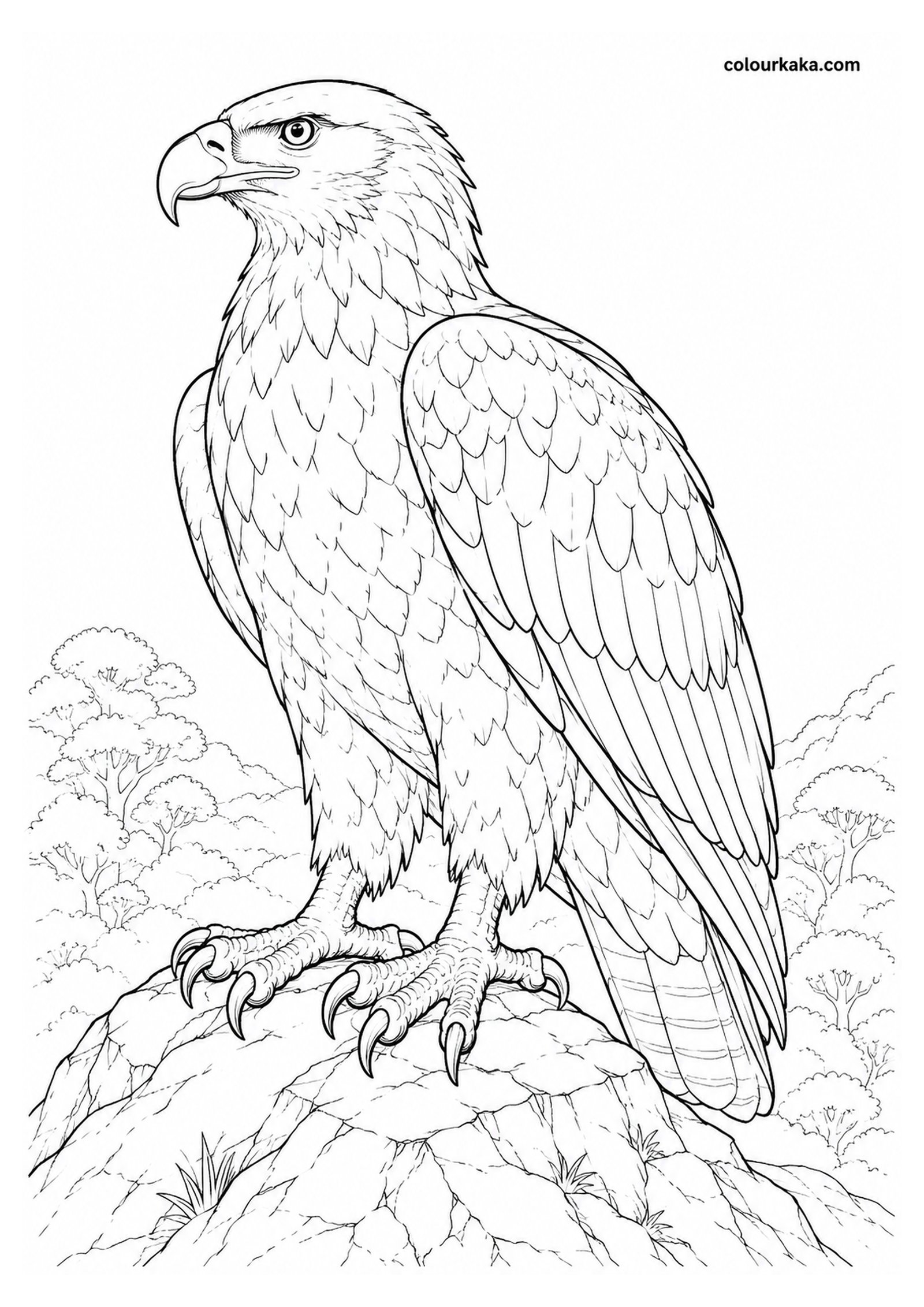 Giant Haast’s Eagle Colouring Page colouring page preview