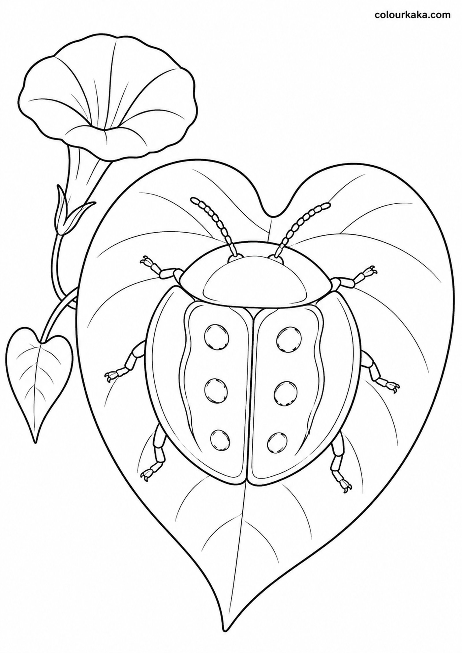 Golden Tortoise Beetle Colouring colouring page preview
