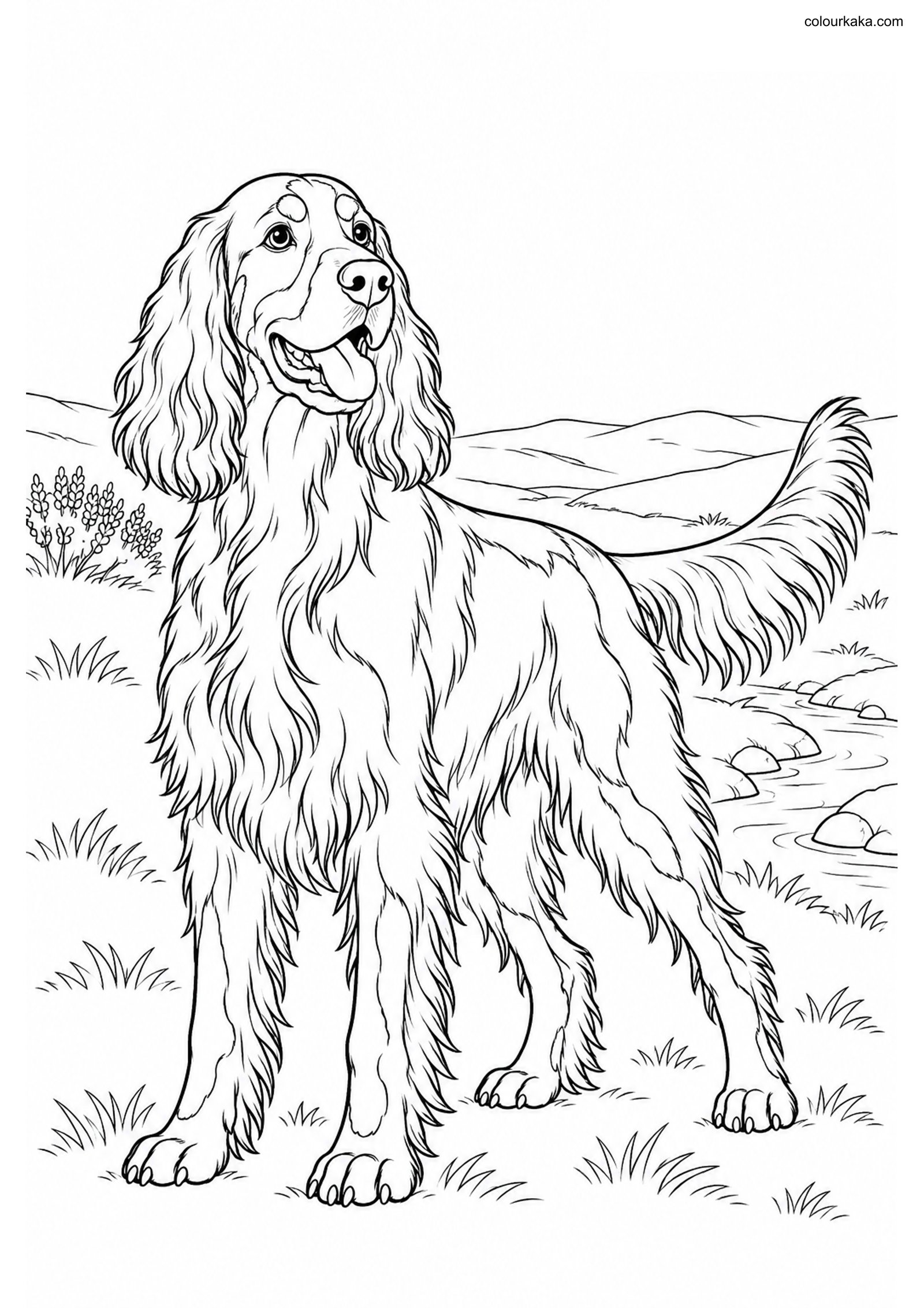 Gordon Setter Coloring Page colouring page preview