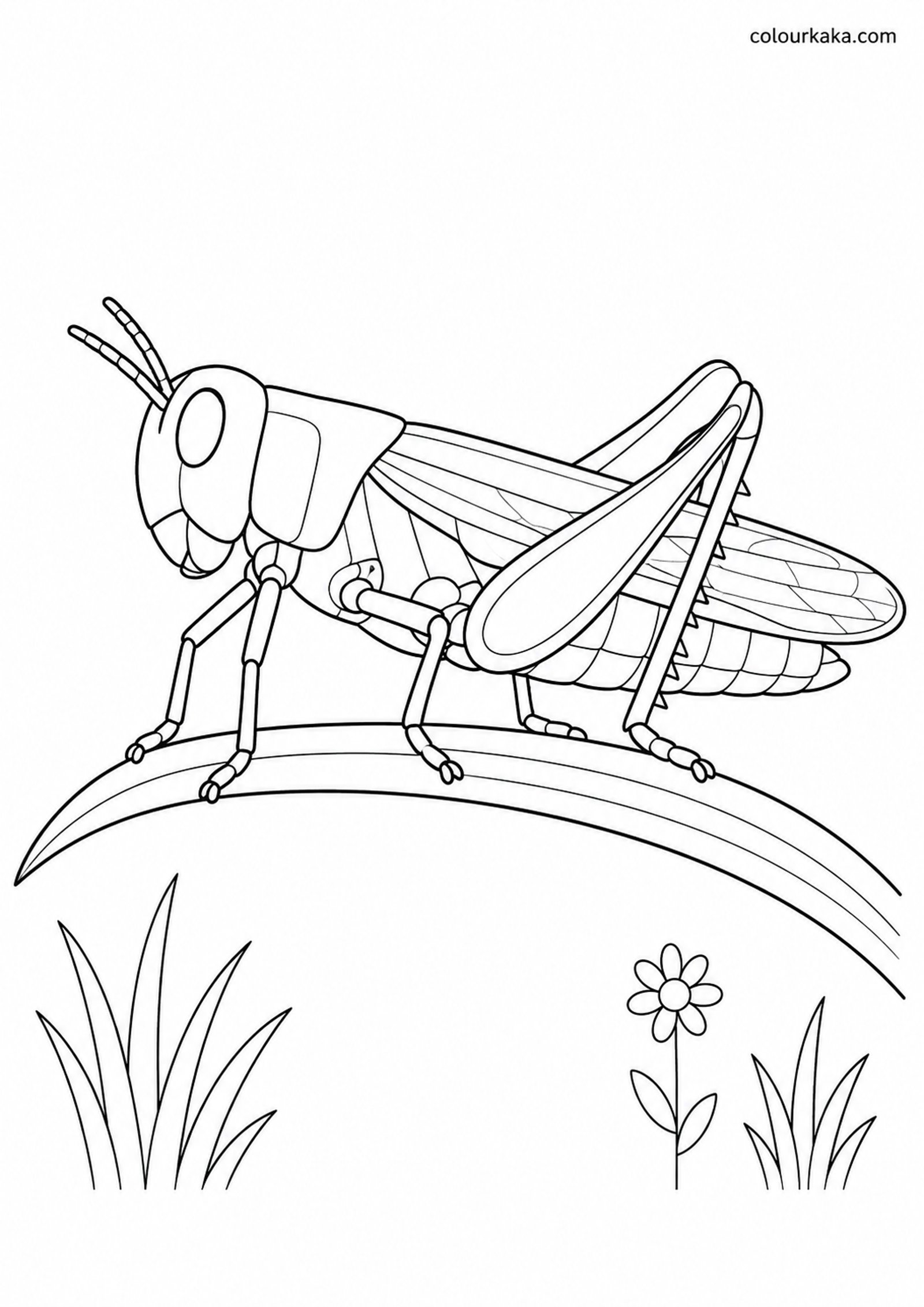 Grasshopper Meadow Colouring colouring page preview