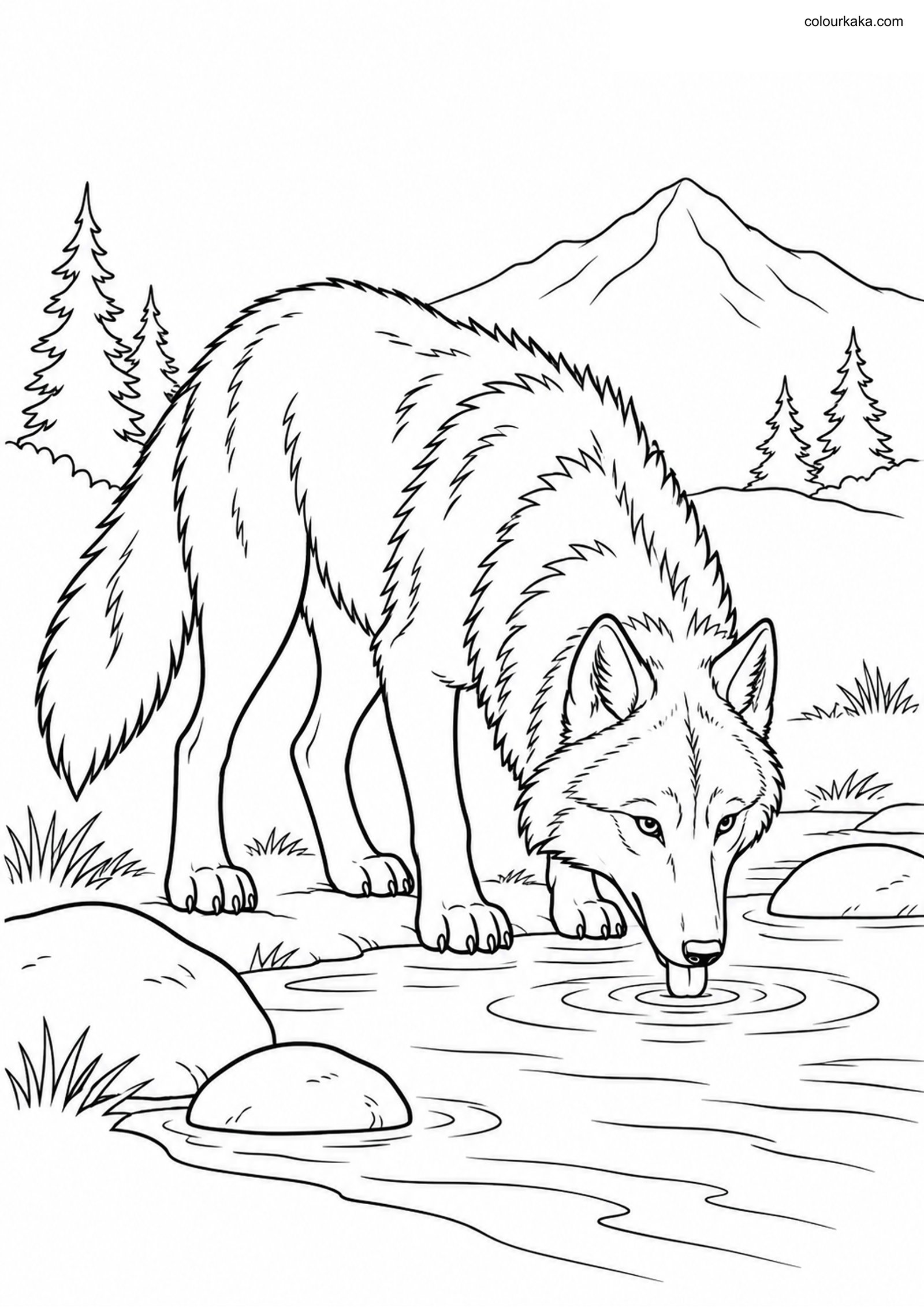 Gray Wolf Mountain Stream Page colouring page preview