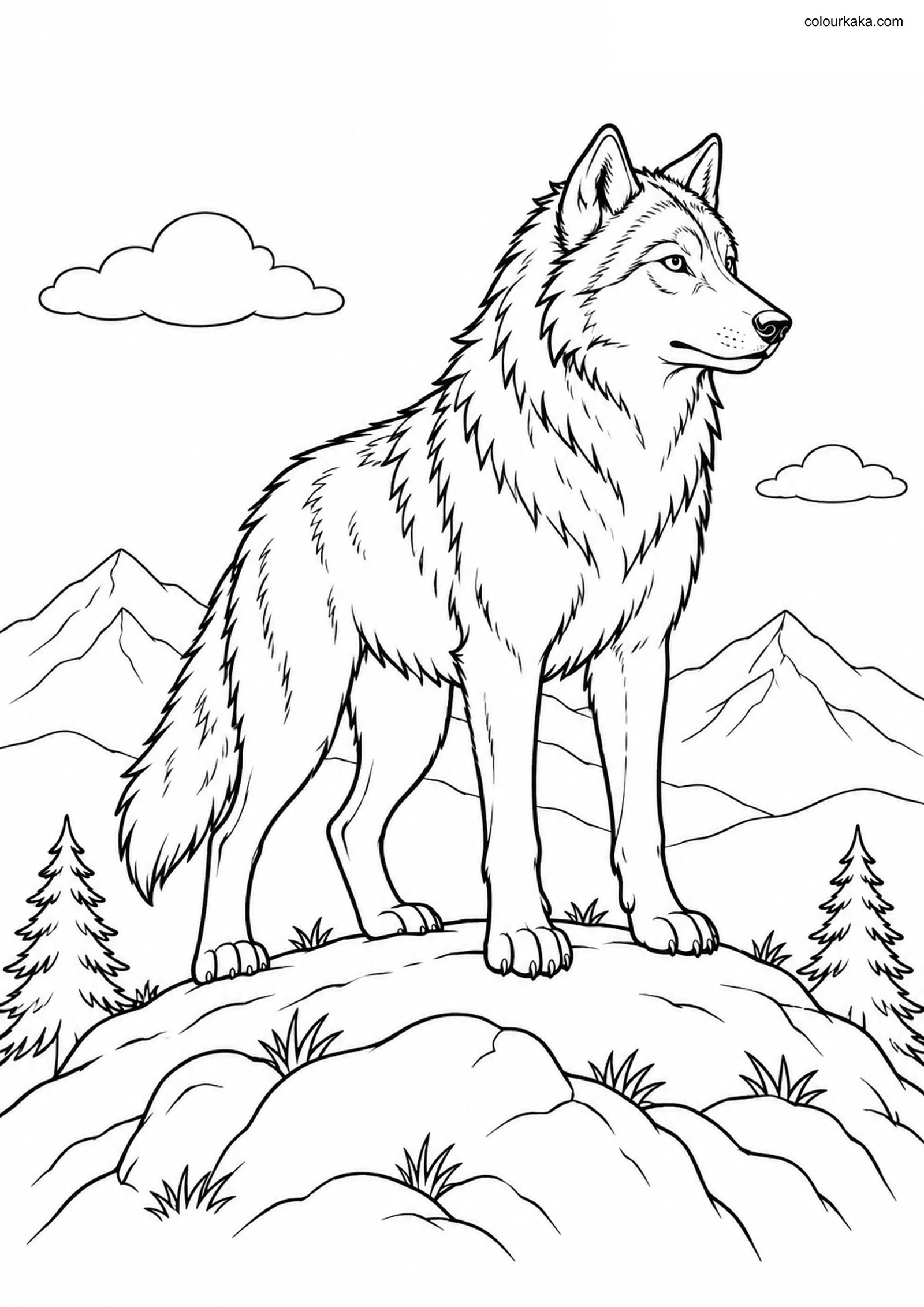 Gray Wolf Rocky Hill Page colouring page preview